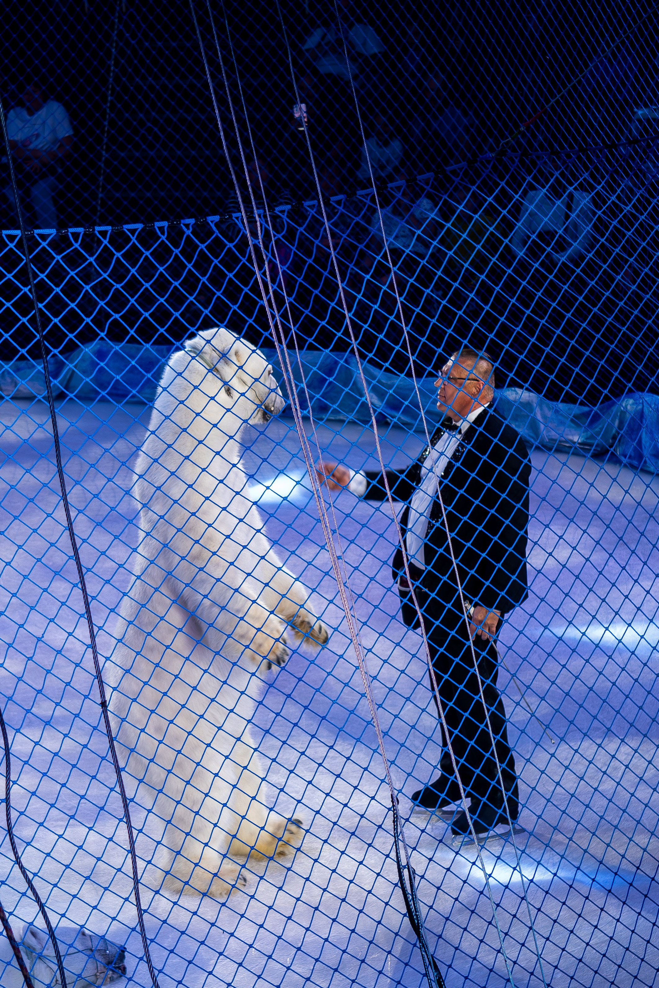 Цирк на льду «Айсберг» в Луганске. Фотограф в РФ и ЛНР Юлия Федосеева