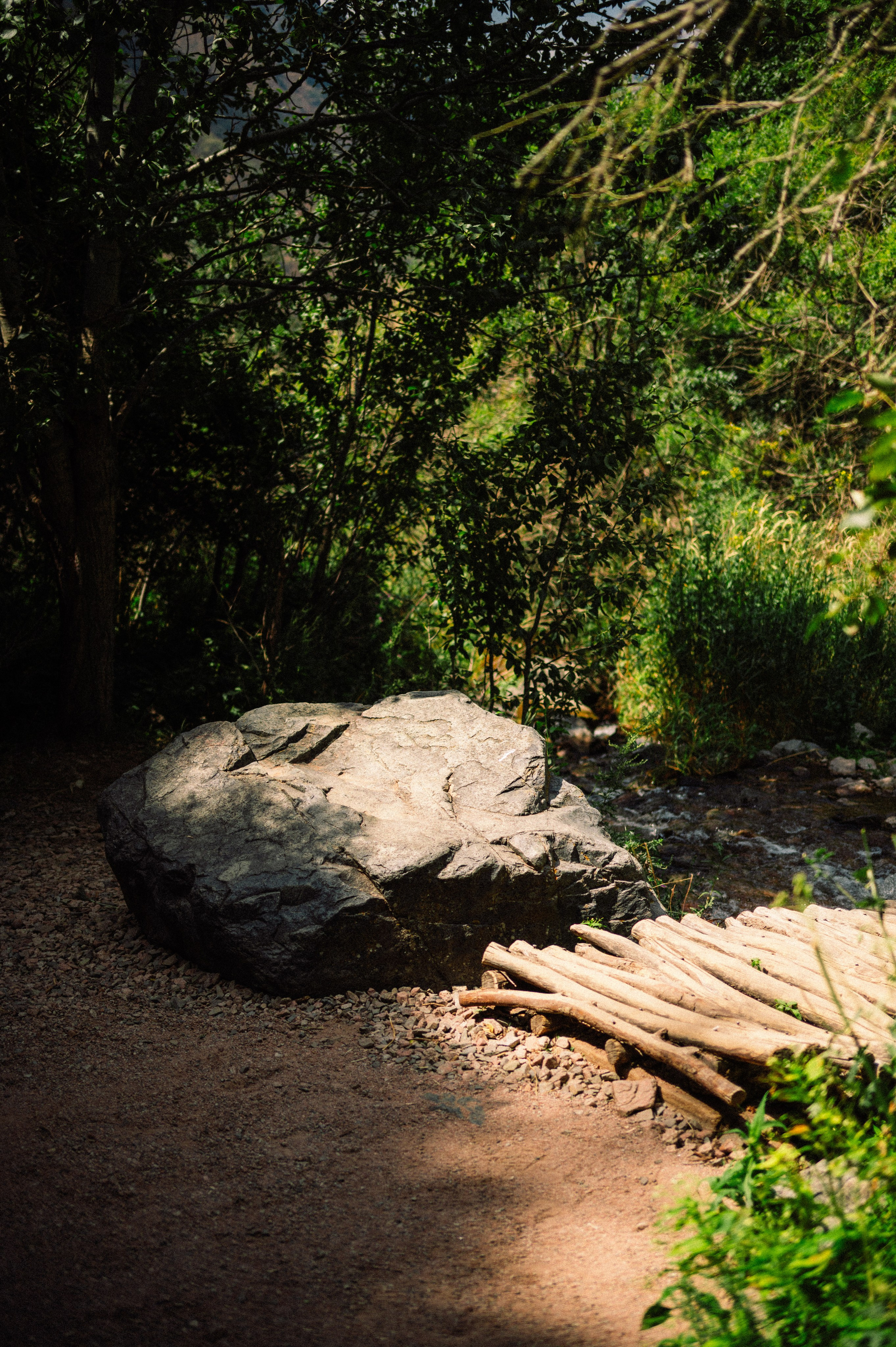 Плато Ассы: июль 2025. Фотограф в Алматы — Дарья Фёдорова
