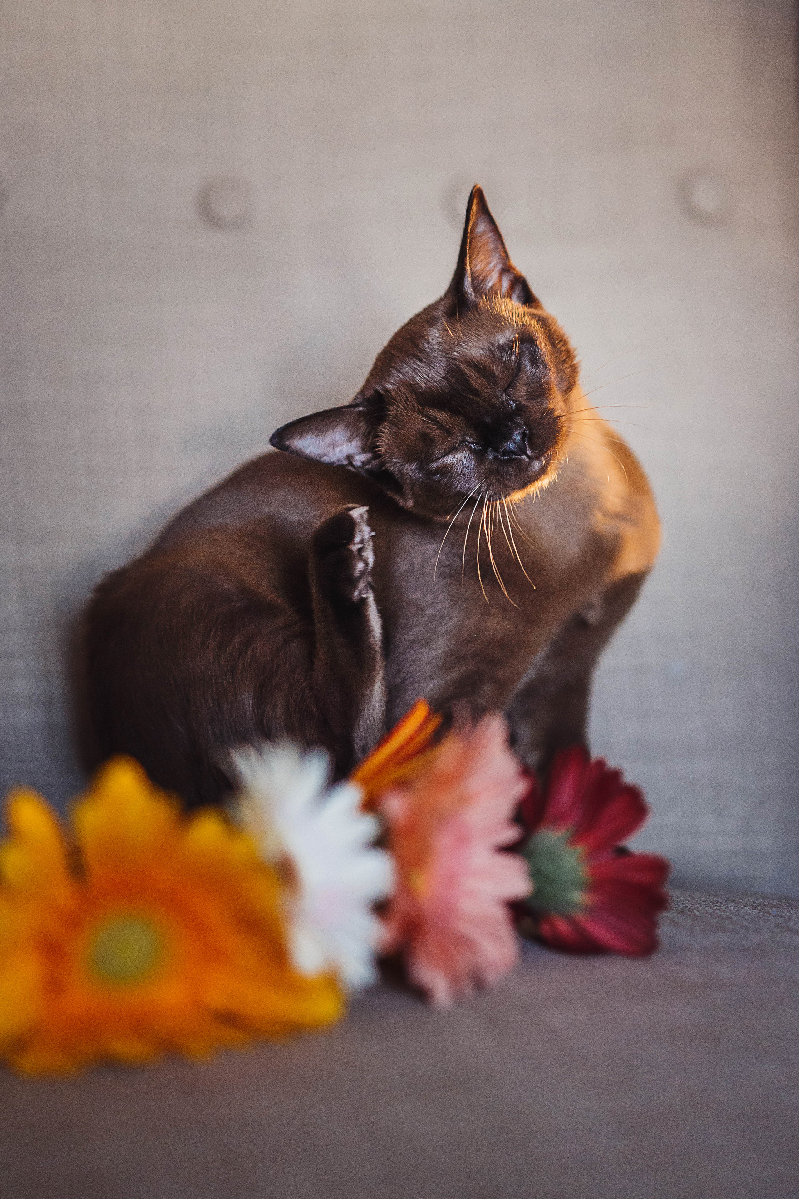 Мама и дочка «Елена и Катюша». Детский и Семейный фотограф в Москве Антонина Шерстень