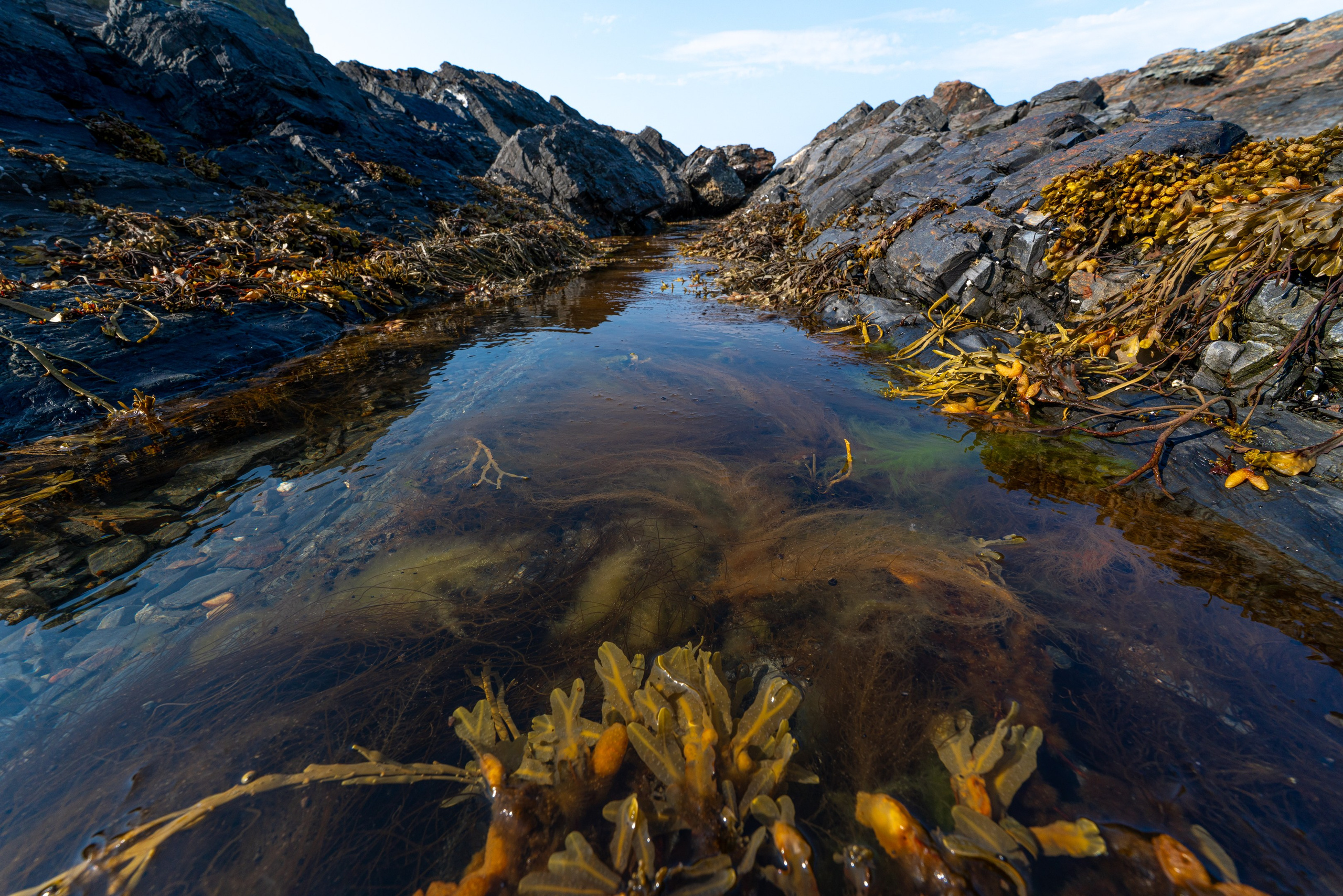 Кольский полуостров. ПОБУДЬ ЗДЕСЬ И ЦЕЛЕЕ БУДЕТ ЭТОТ МИР
