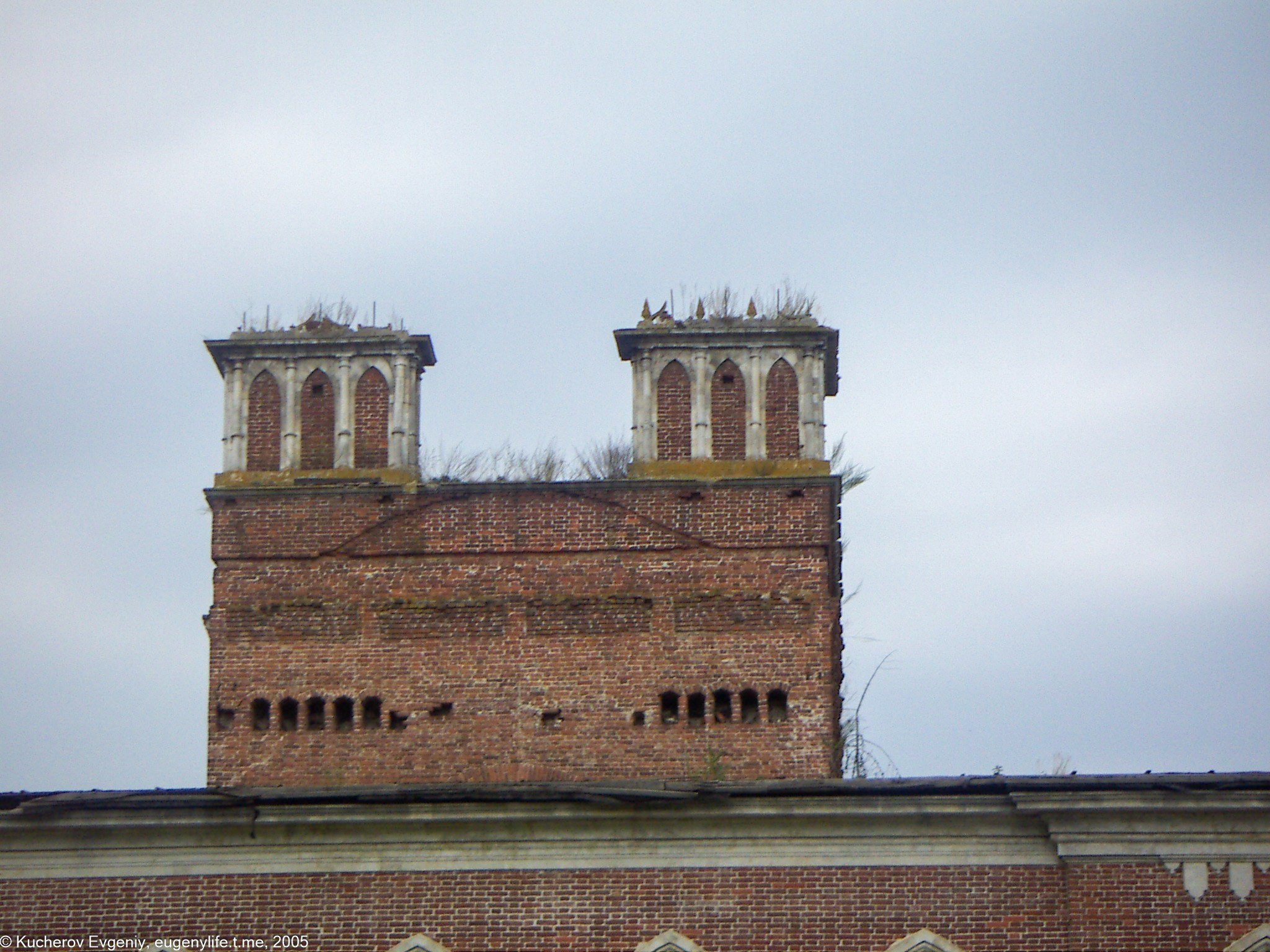 Август 2005. Царицыно. Кучеров Евгений. Фотограф