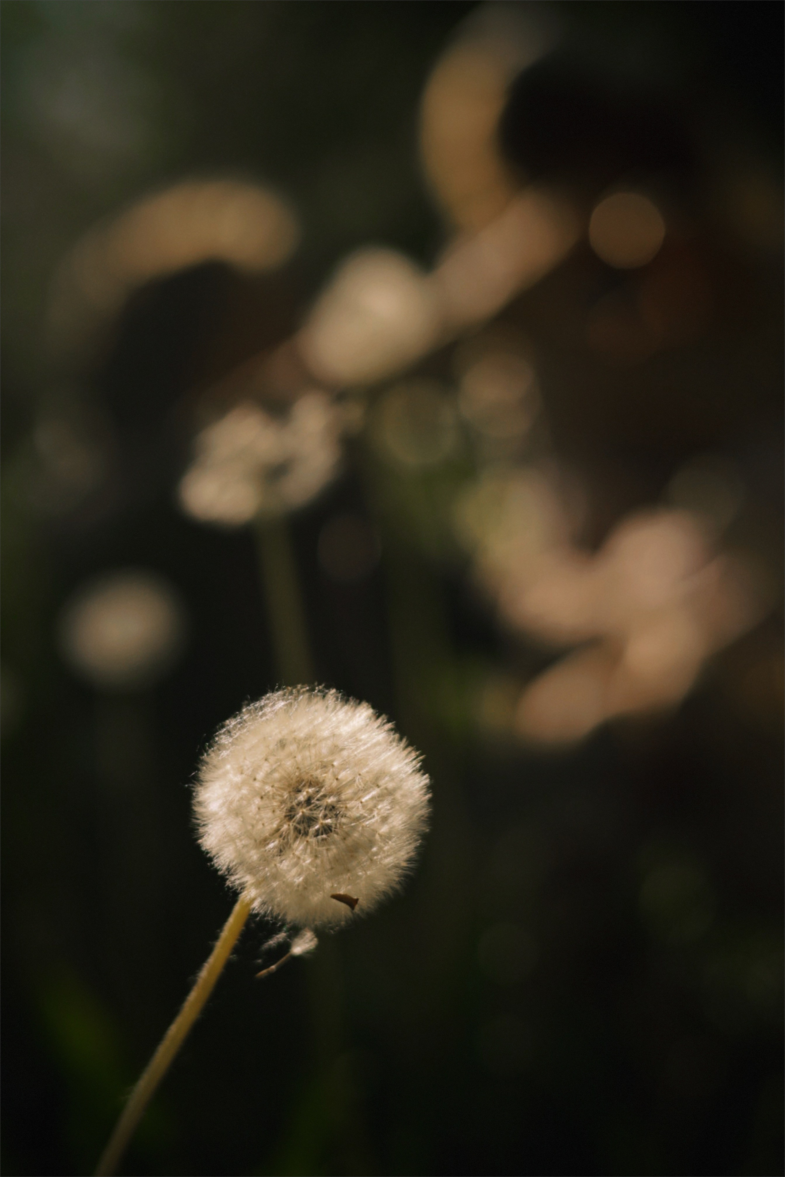 Вожатский состав 2 сезон 2025. Фотограф Иркутск