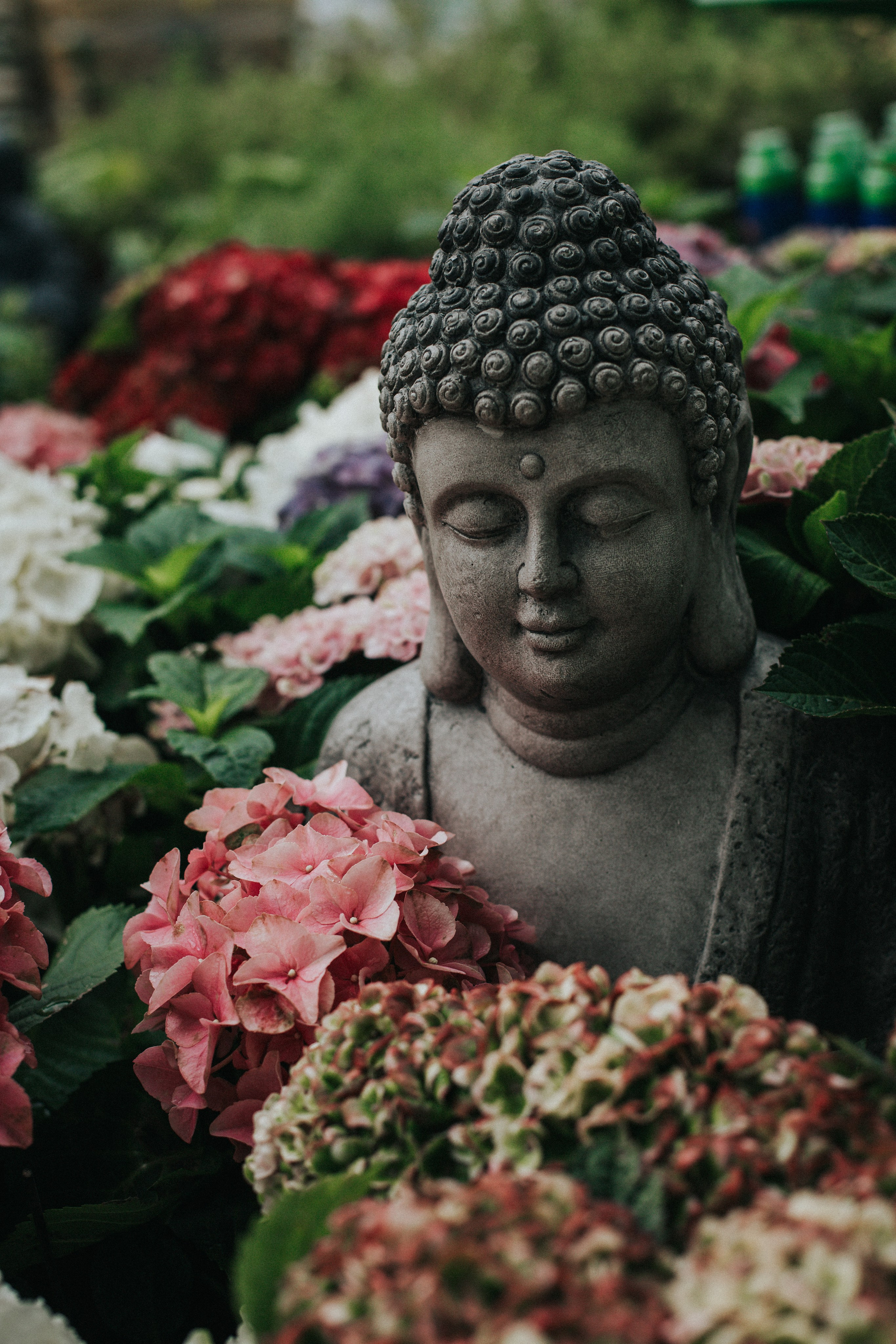 Лена Лисина. Дом + ОБИ. Фотограф в Нижнем Новгороде