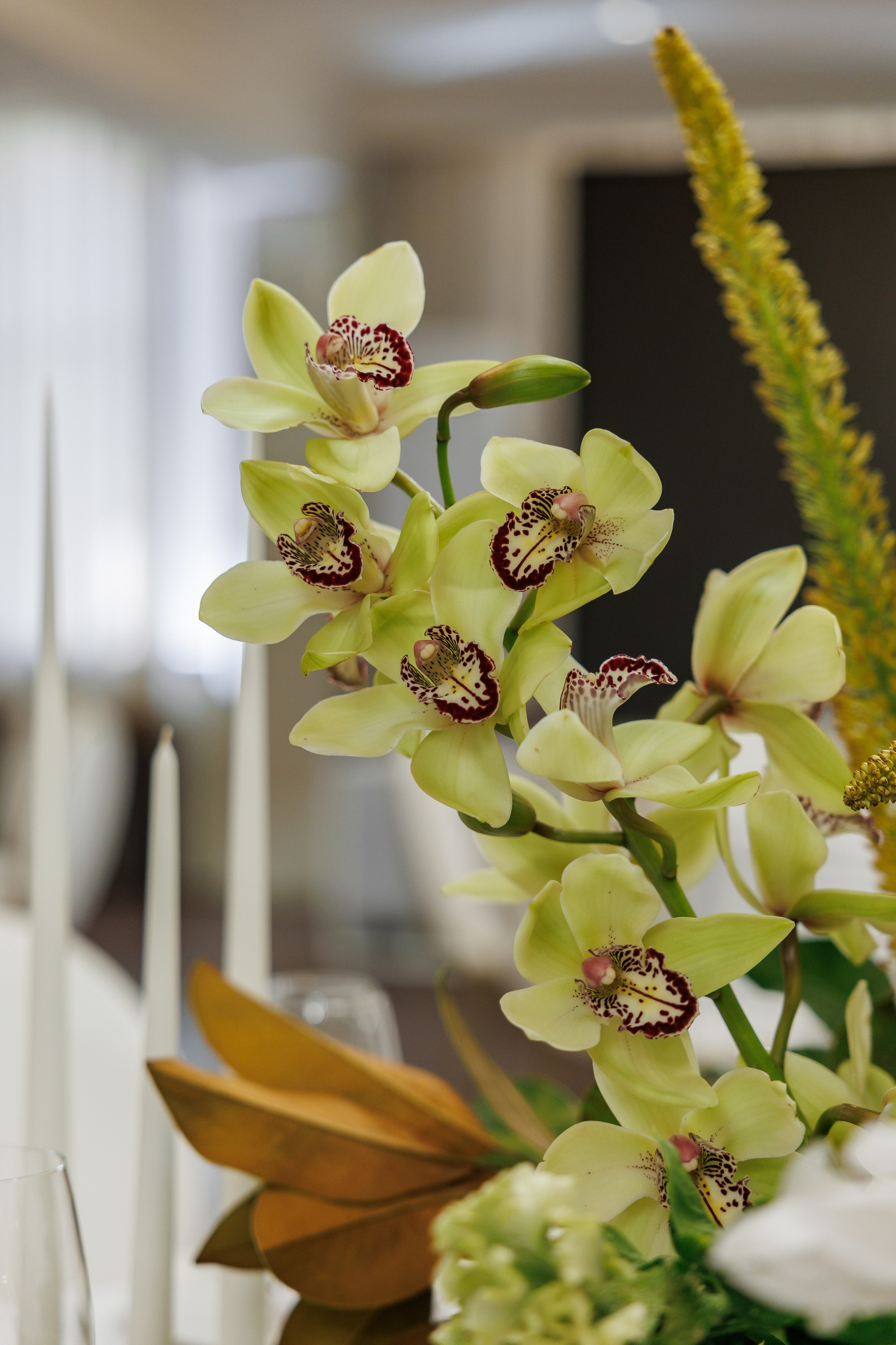 Тёплые Страны | Декор/Интерьер. Главная