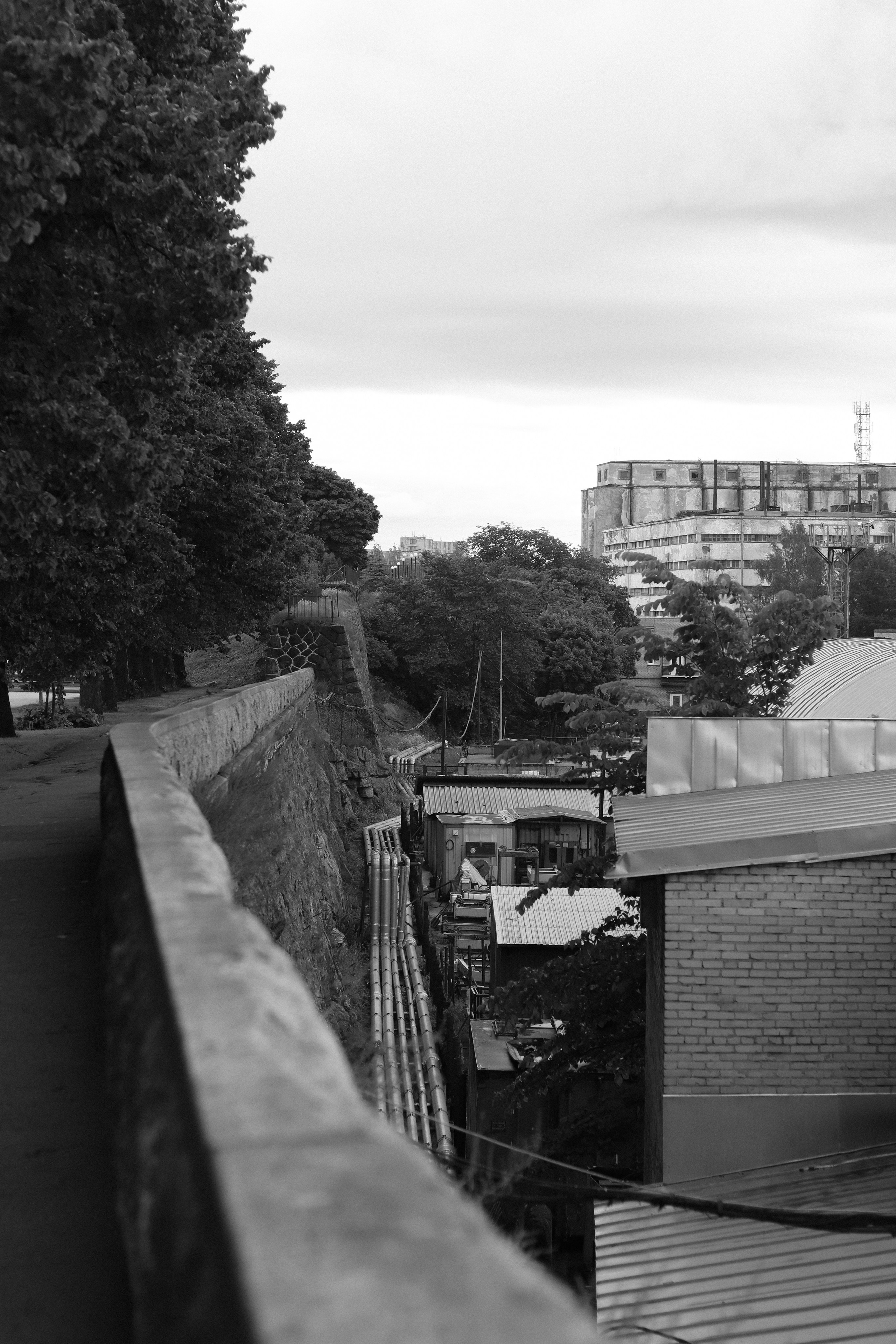 Contour. Фотограф и исследователь фотографии из Санкт-Петербурга Елизавета Веприцкая