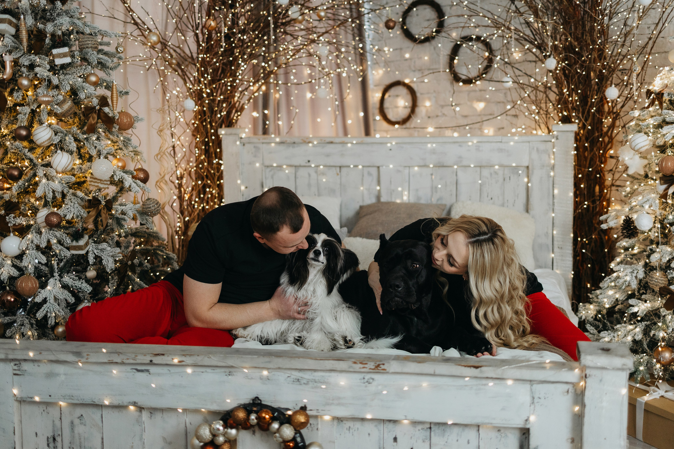 Владимир, Кристина, Айза, Панда. Фотограф — анималист Владивосток, Алина