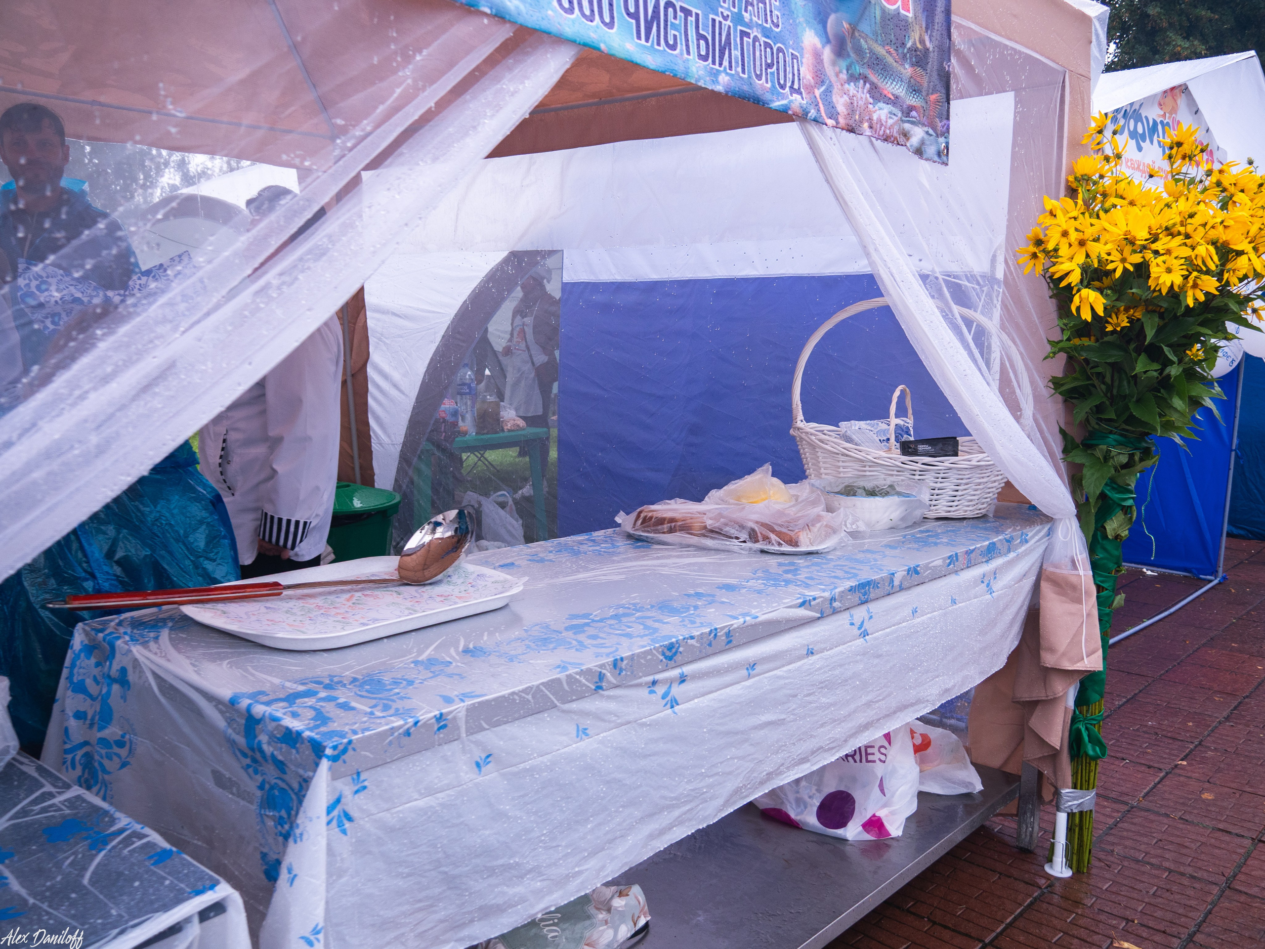 День города Муром 2025. Муром-Инфо. Новости культуры, образования, спорта в городе Муром