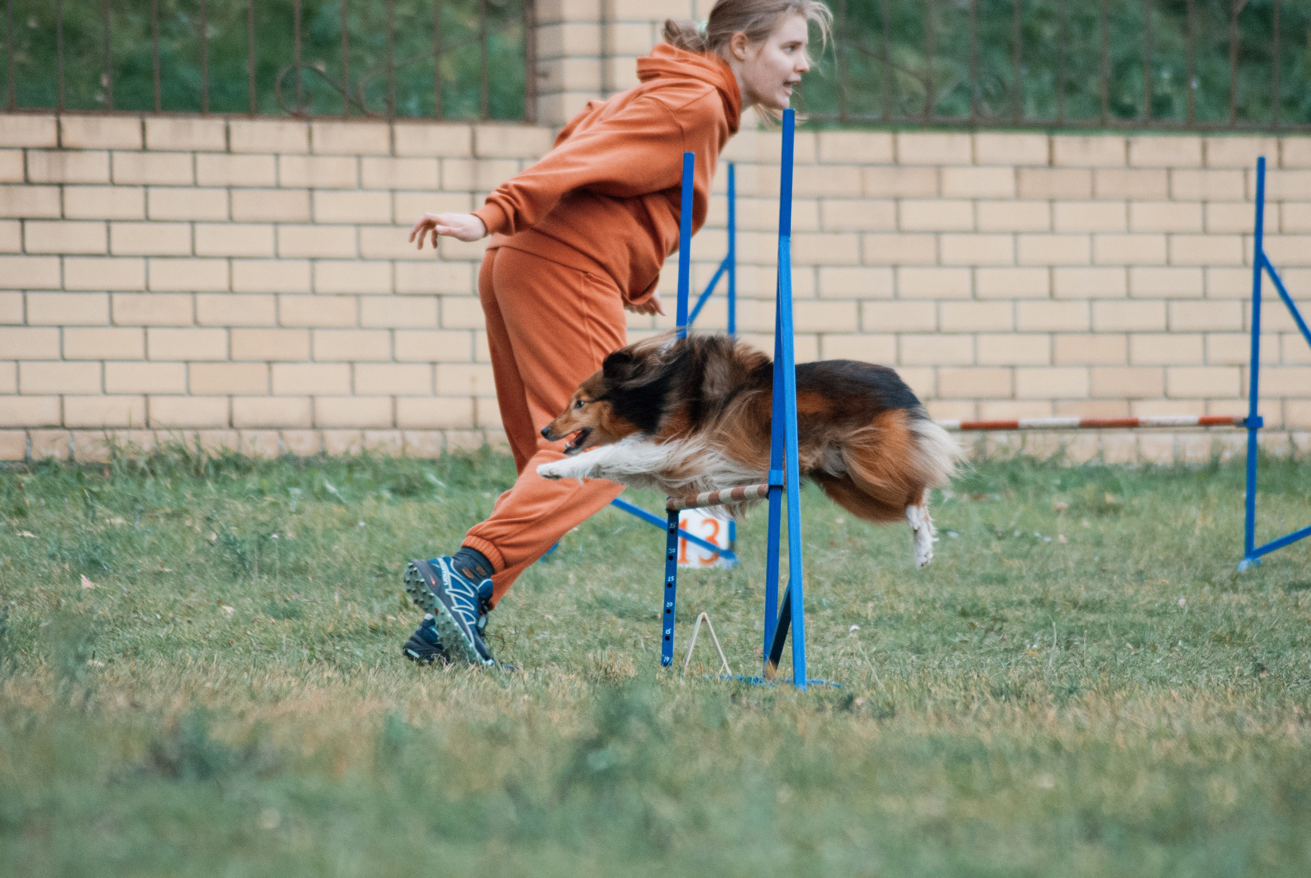 Аджилити. Фотограф в Тюмени Лизавета Сапицкая