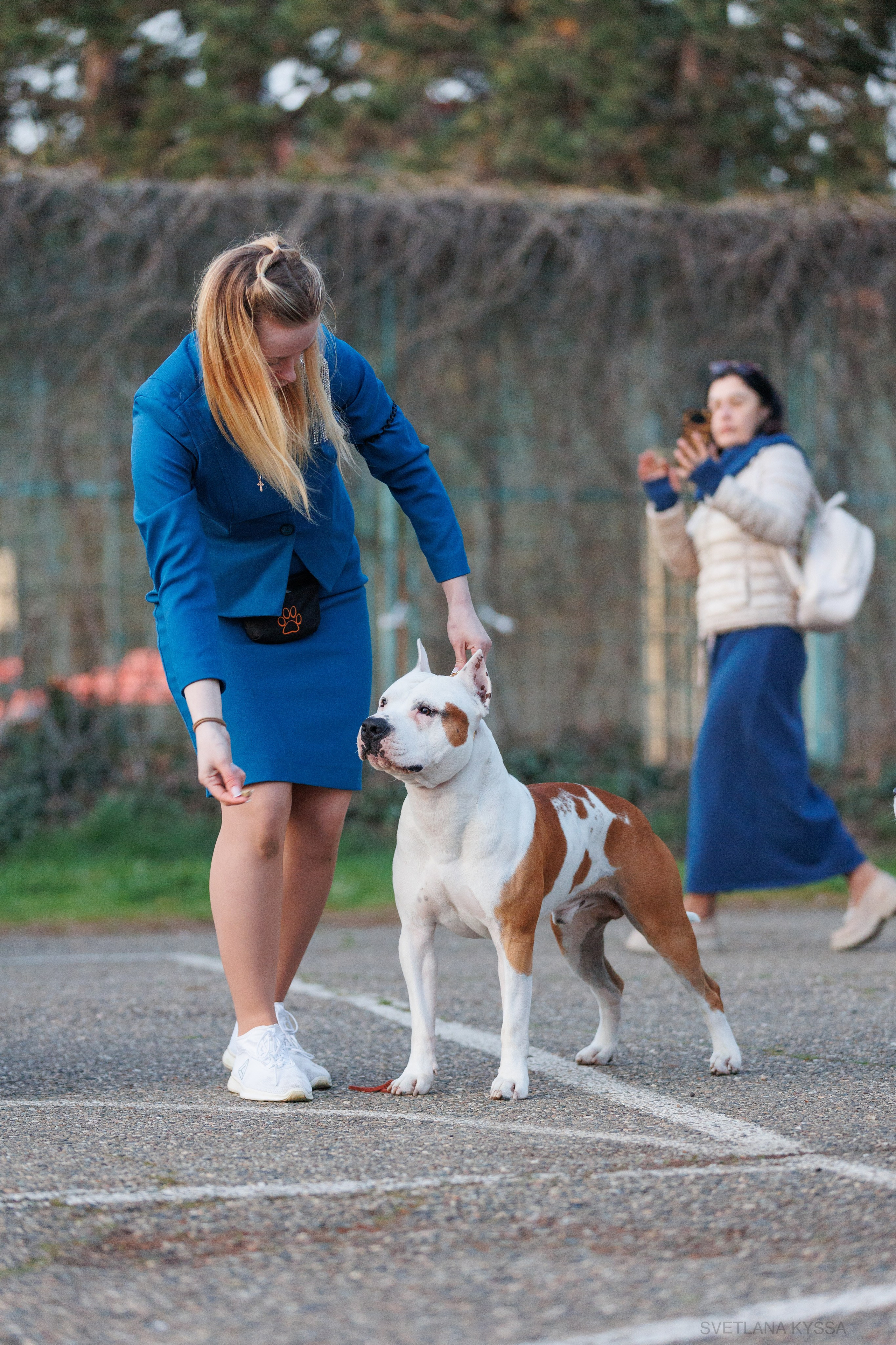 Фото с выставки собак. Фотограф — анималист Светлана Кысса|фотограф собак в Краснодаре и Нижнем Новгороде
