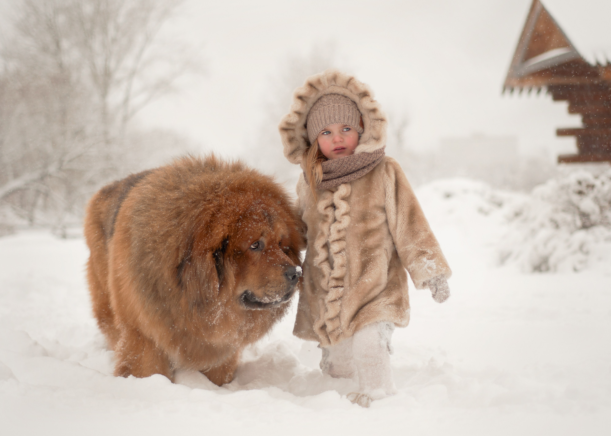 Семейная фотосессия Москва и Люберцы, цены. Фотограф в Москве и Люберцах, Валя Шикулина