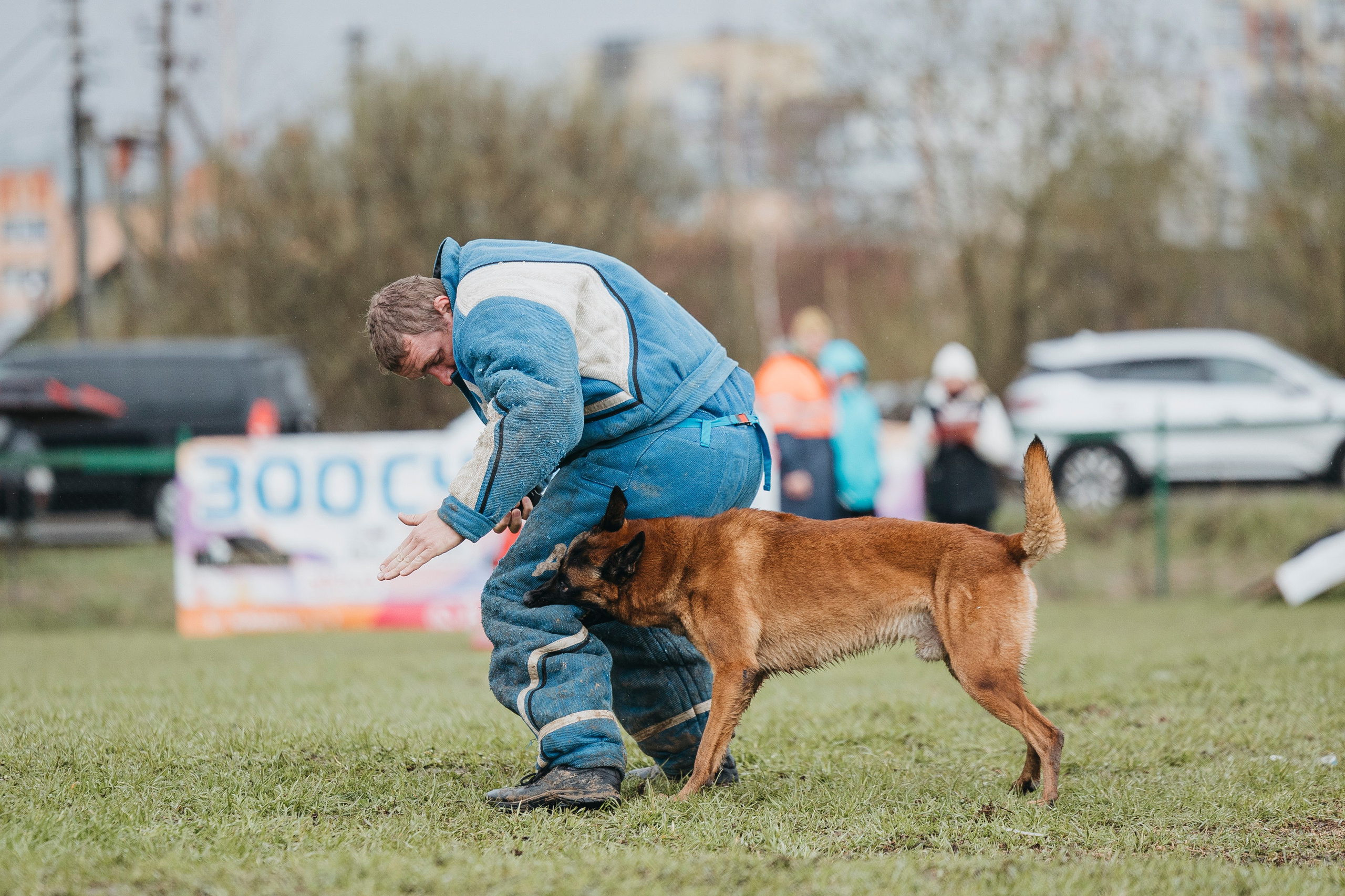 09.05.25 Вологда соревнования. Фотограф-анималист Анна Маринич