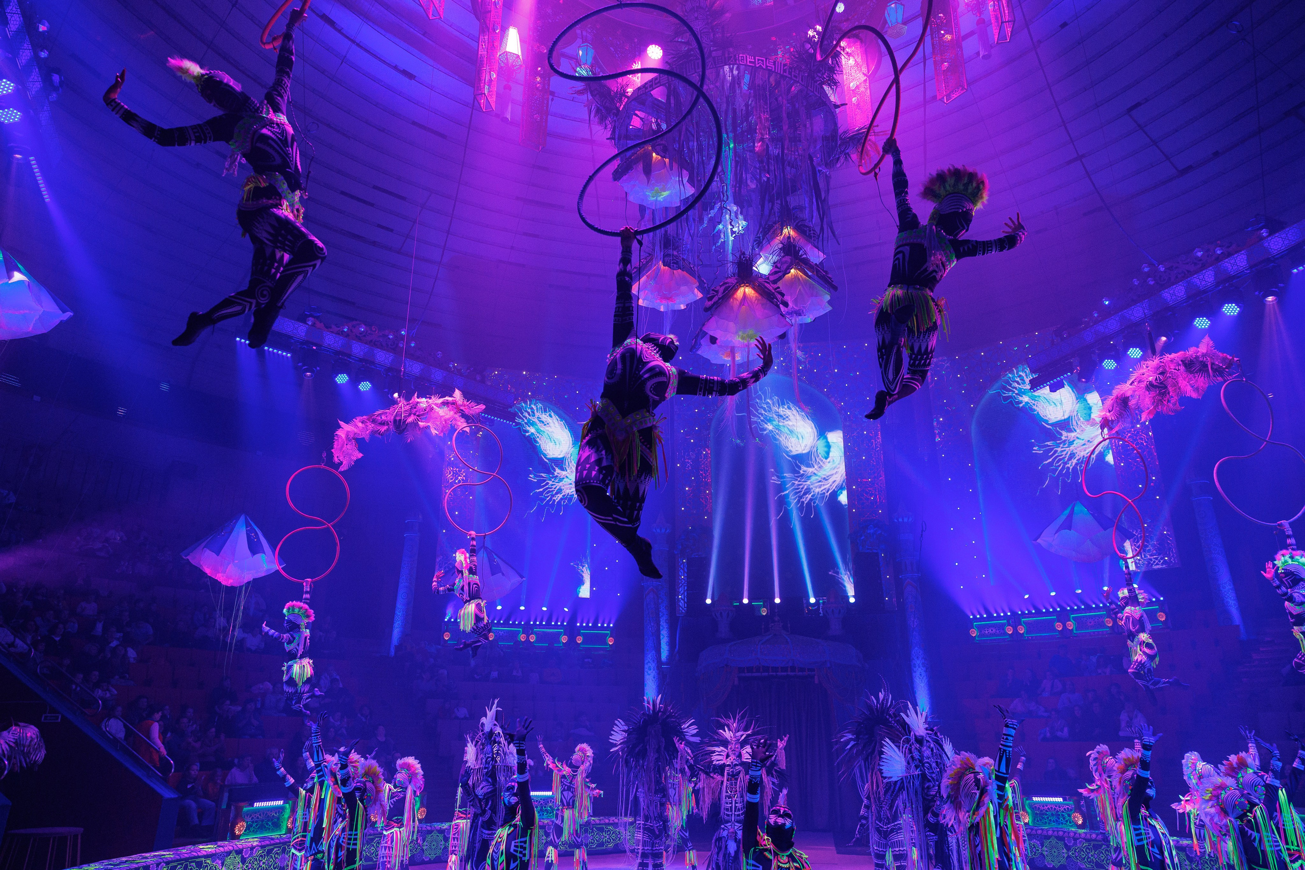 Цирк «Песчаная Сказка». Фотограф Ставрополь Петр Голубенко