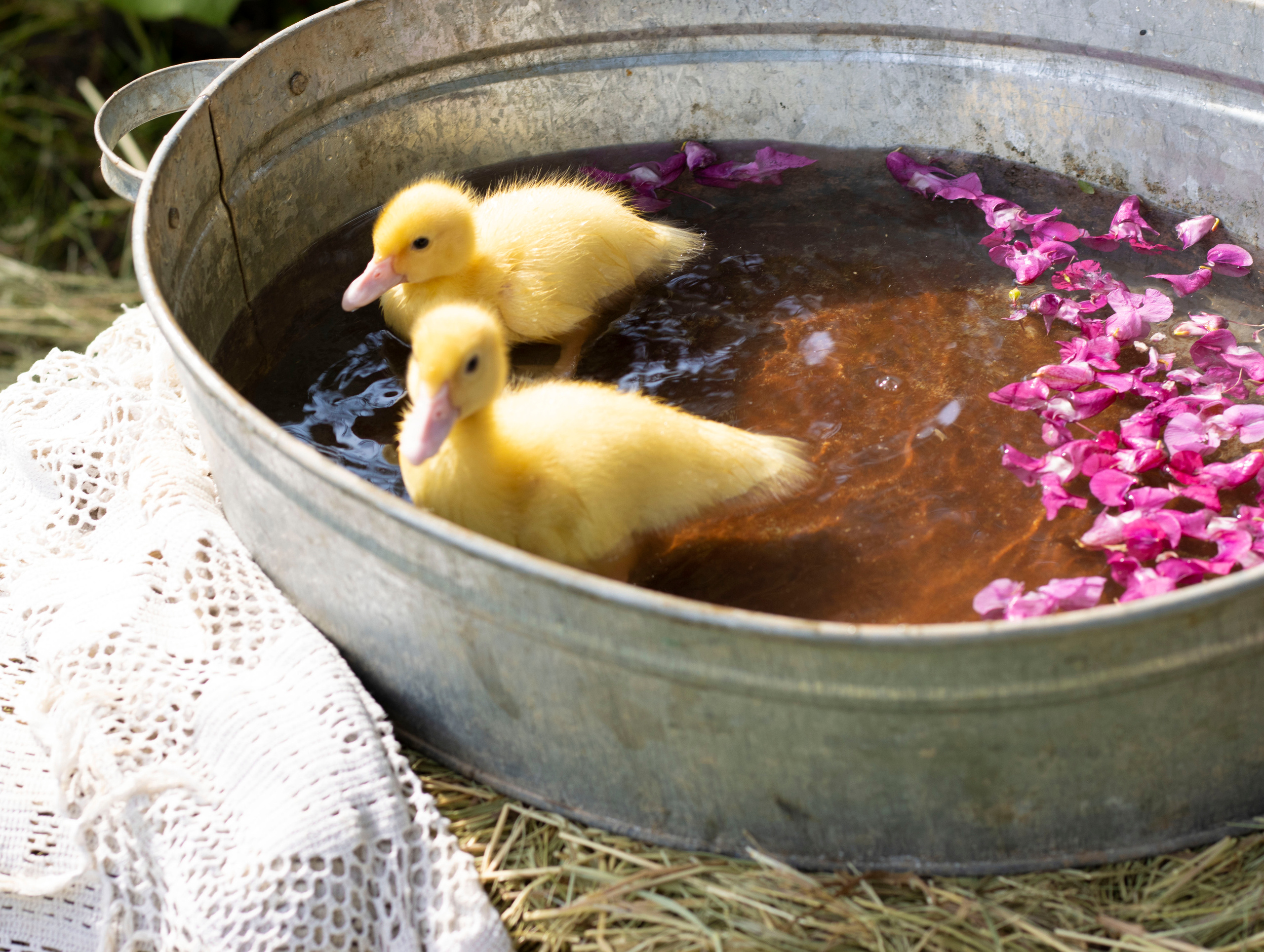 Алиса. Сказочный фотограф для Вас и Вашей семьи