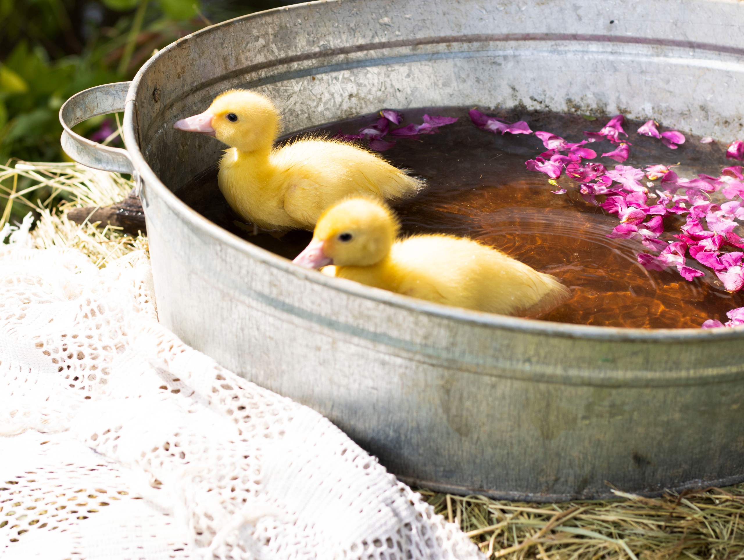 Алиса. Сказочный фотограф для Вас и Вашей семьи