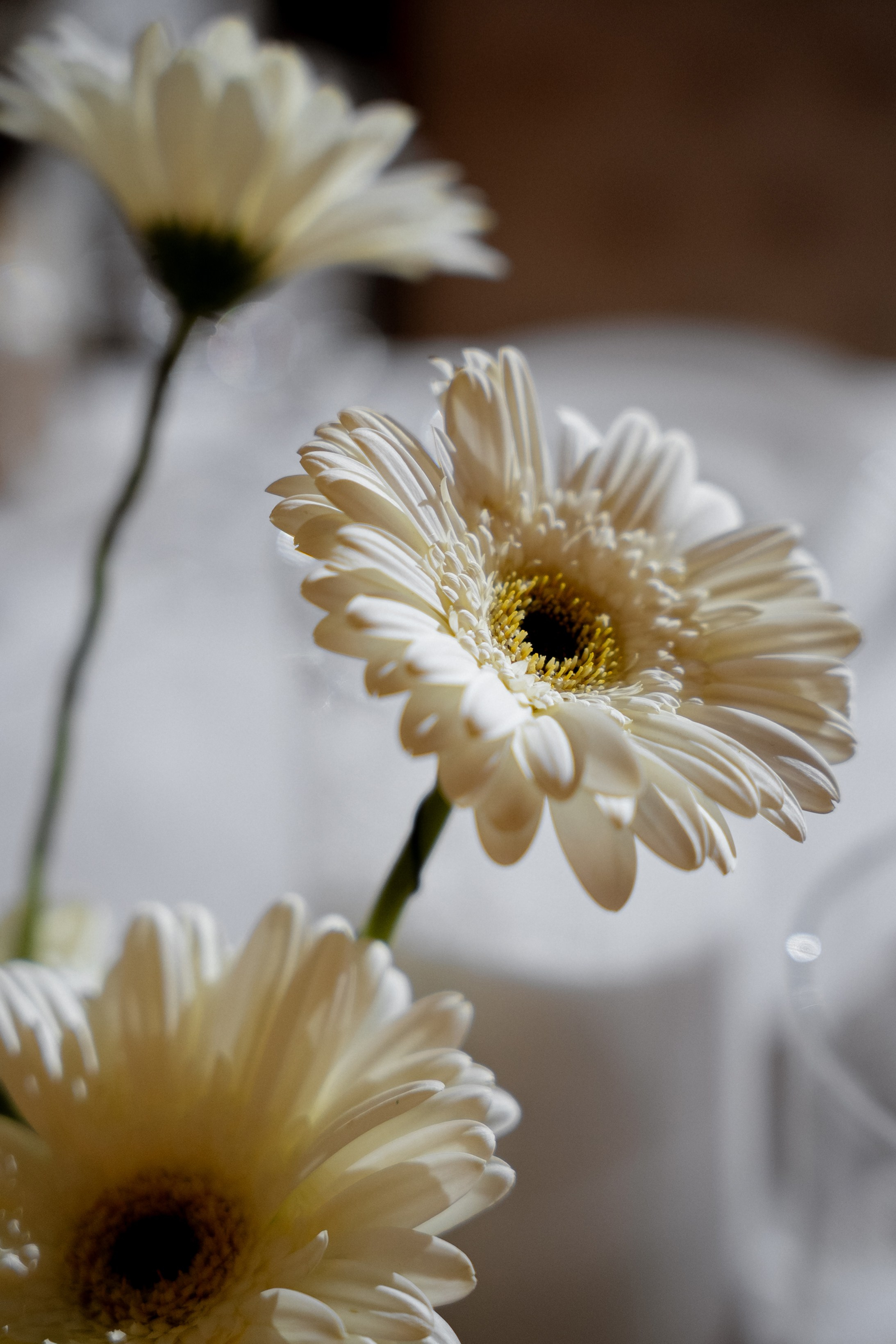 Сокровище. Гермес. Полный день (сокращено). Семейный и портретный фотограф в Саратове Сахарова Маша