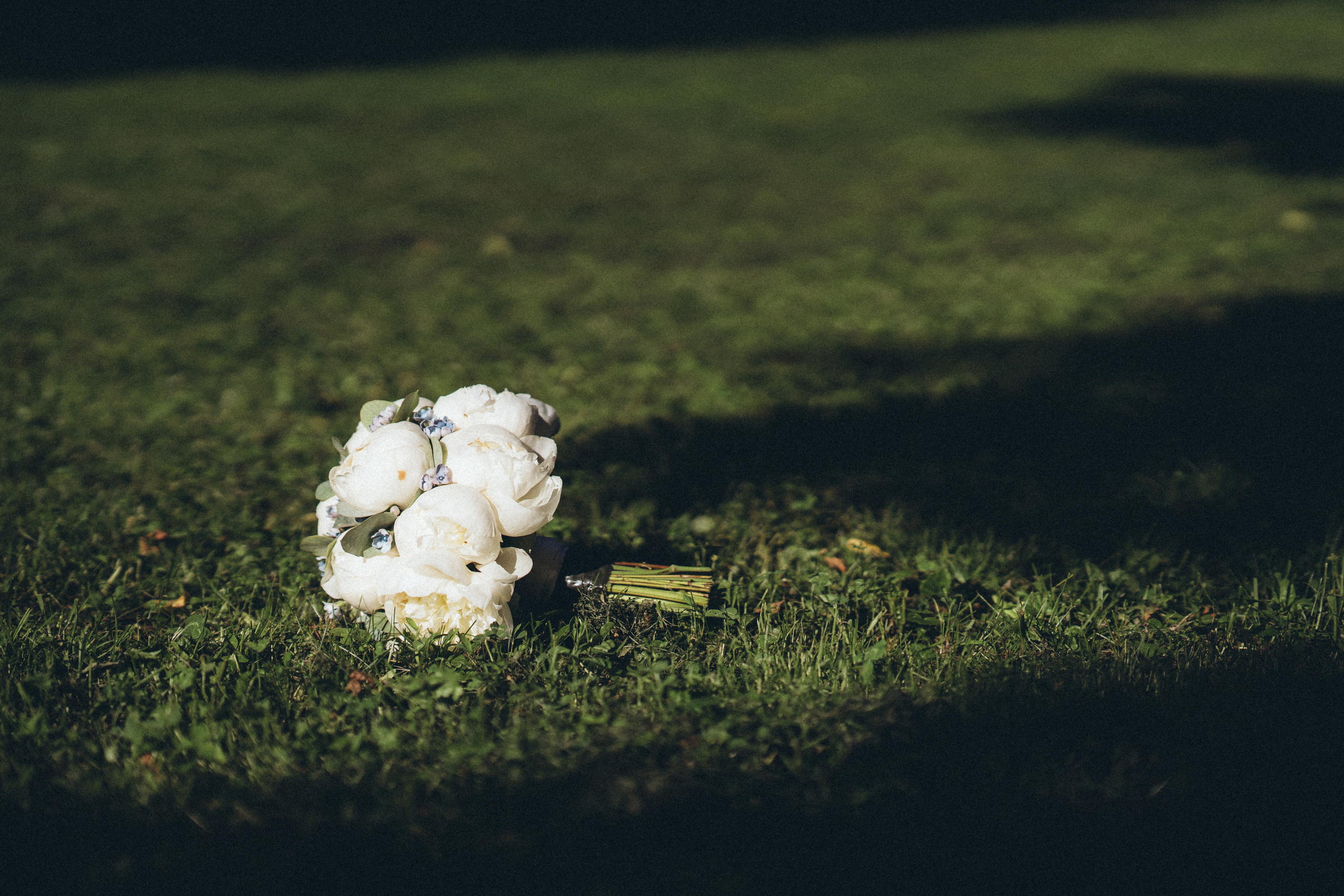 Юля и Антон. Fotograf in Sewastopol, Krim und Moskau Gorbunov Denis