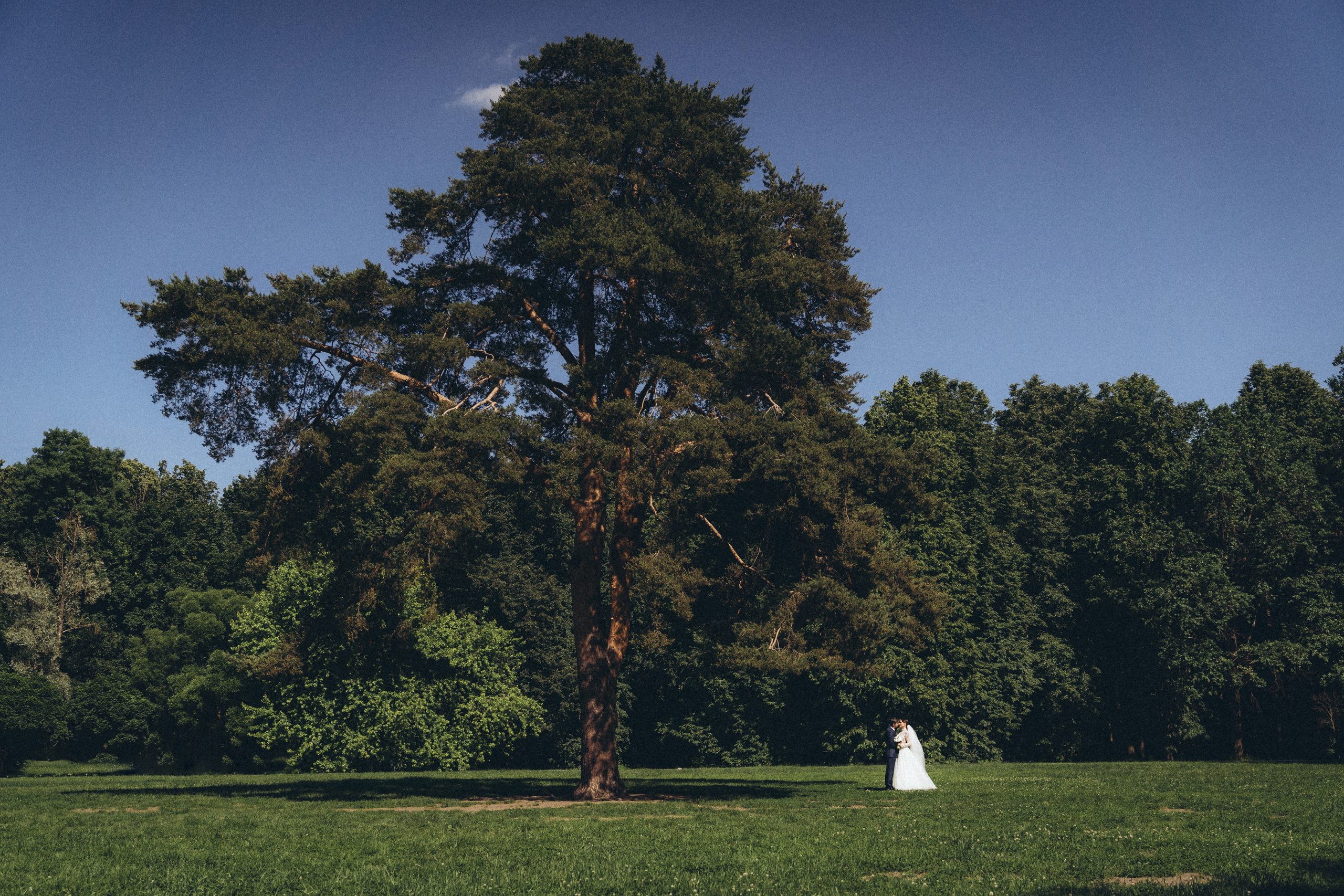 Юля и Антон. Fotograf in Sewastopol, Krim und Moskau Gorbunov Denis
