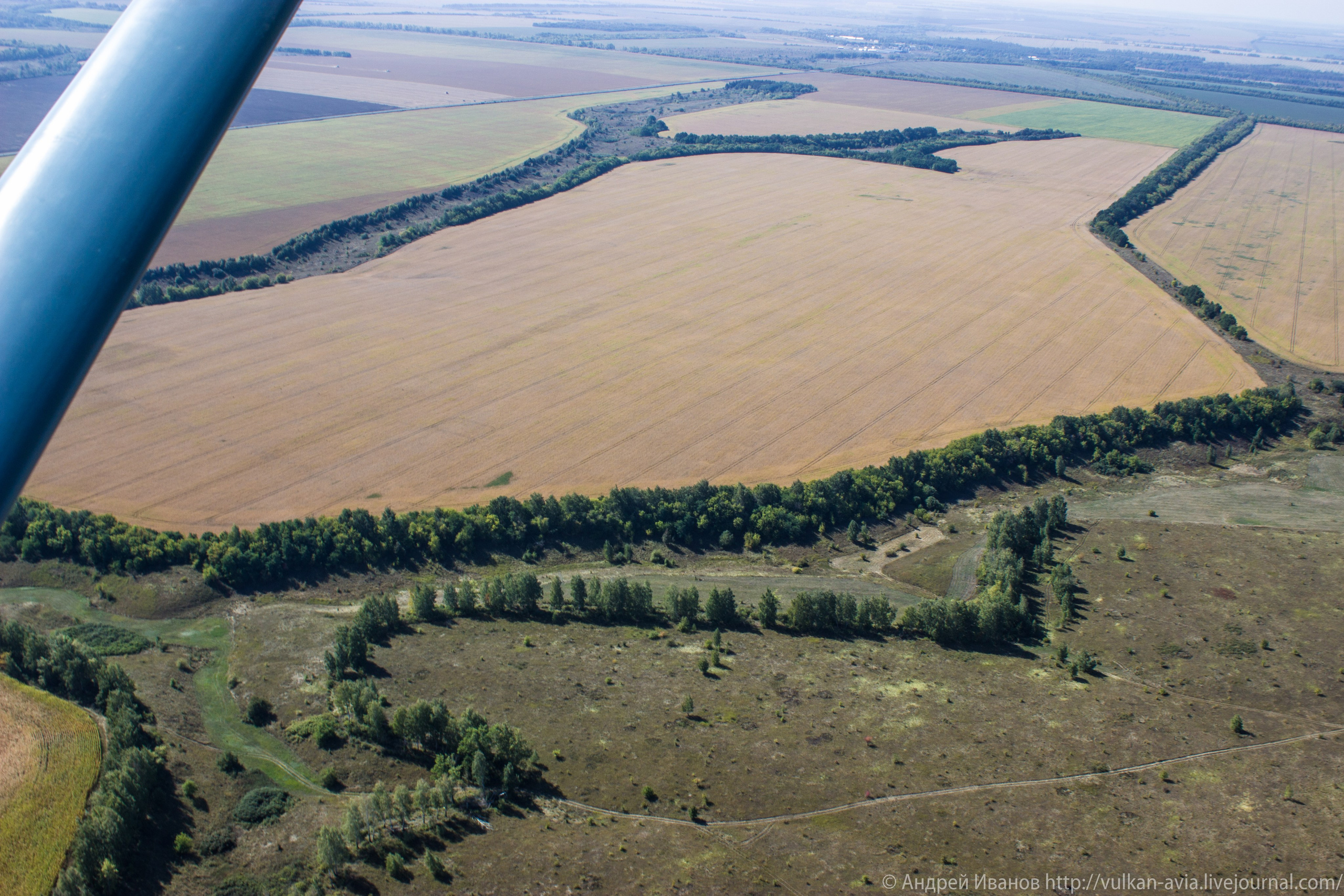 Волгодонск аэр. Потапов слёт «Небо для всех» (2021 г.). Фотоальбом показывающий увлекательный мир авиации и мир медведей Андрея Иванова