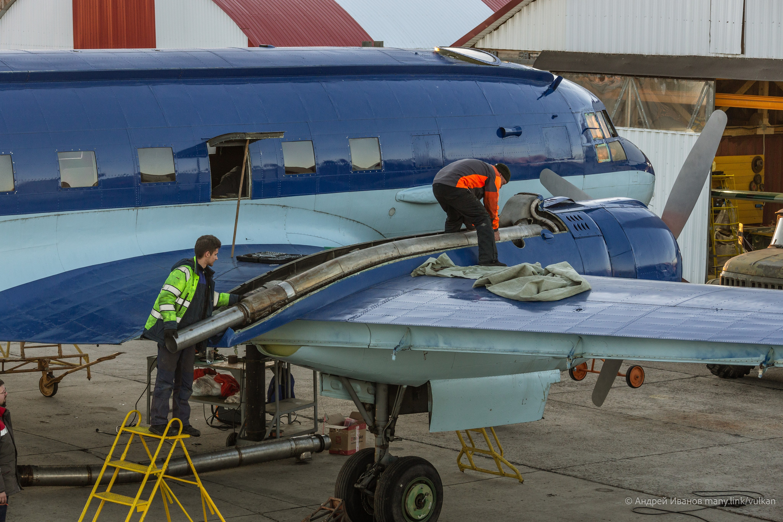 Ил-14Т «Голубая Мечта» (2026 г.). Фотоальбом показывающий увлекательный мир авиации и мир медведей Андрея Иванова