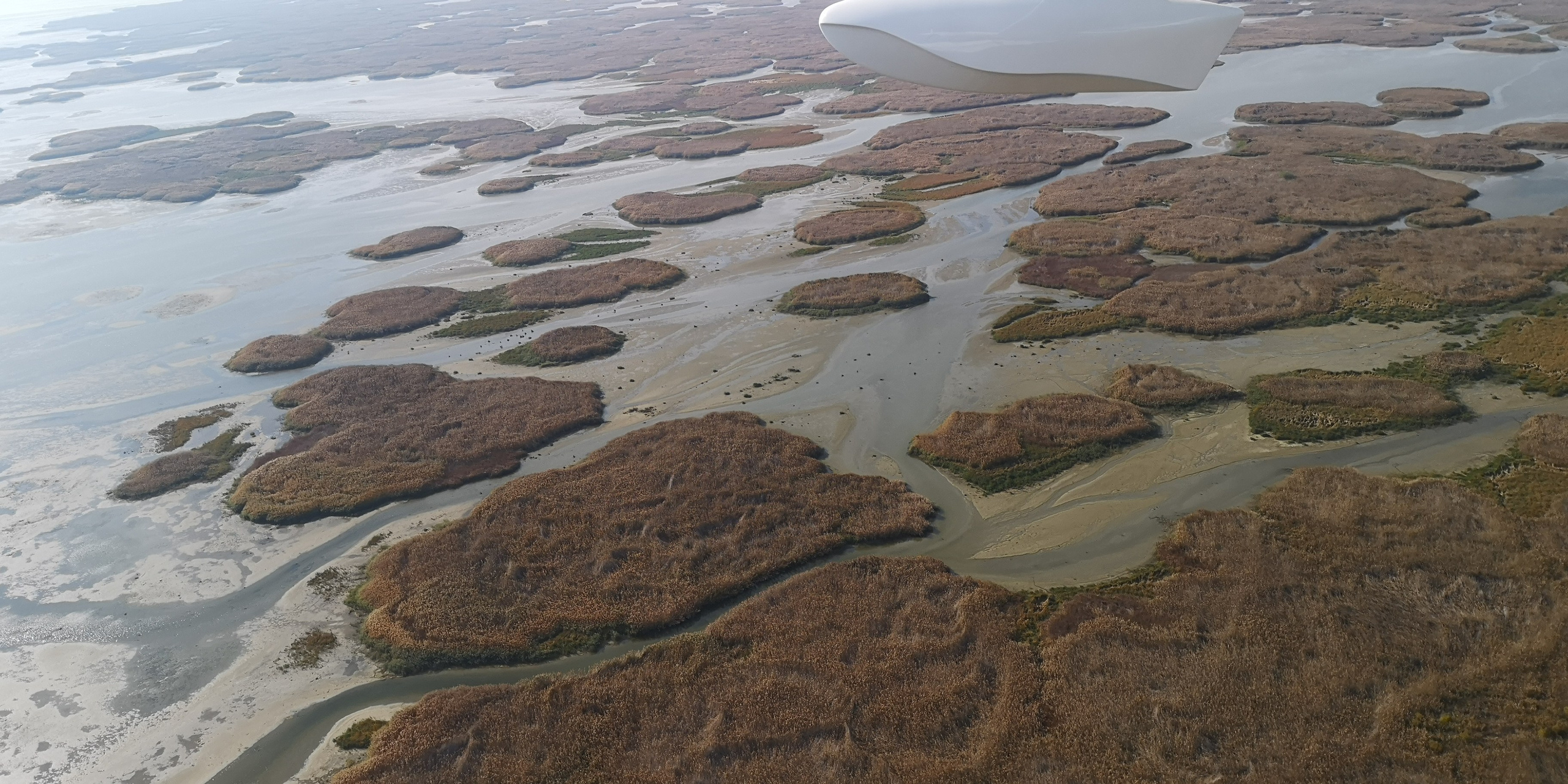 Каспийское море (наука на Ла-8) (2021 г.). Фотоальбом показывающий увлекательный мир авиации и мир медведей Андрея Иванова