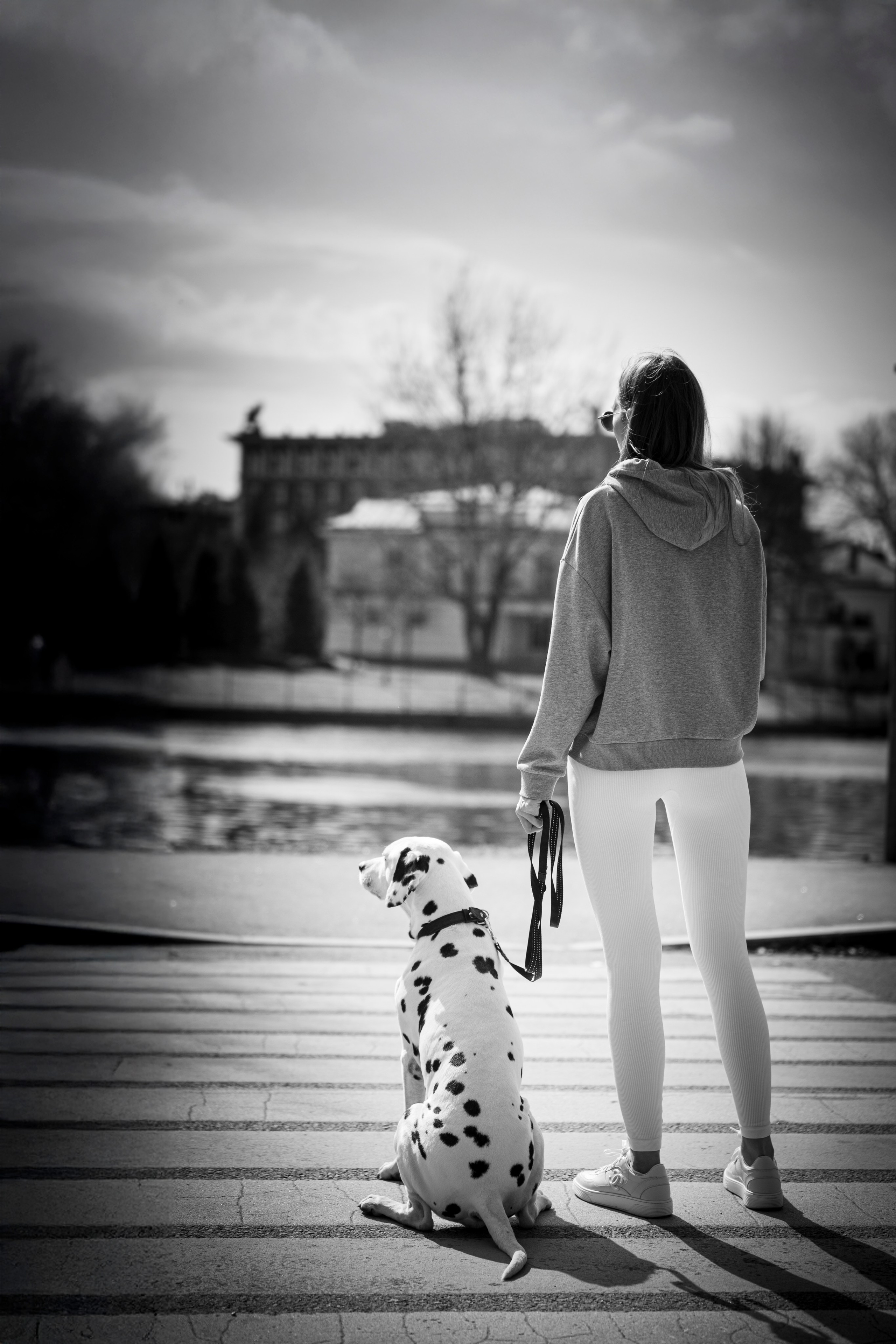 DOGIGO на прогулке. Фотограф анималист в Санкт-Петербурге Таша Крейв