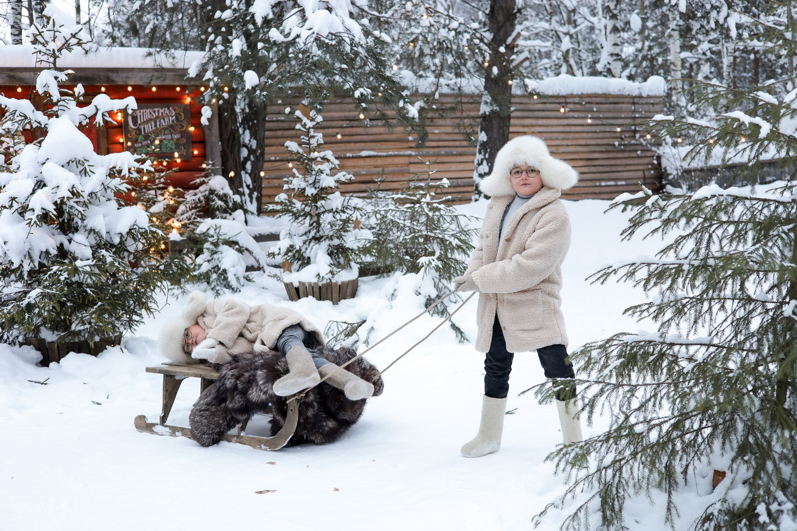 Зимний лес чудес. Ваш семейный фотограф