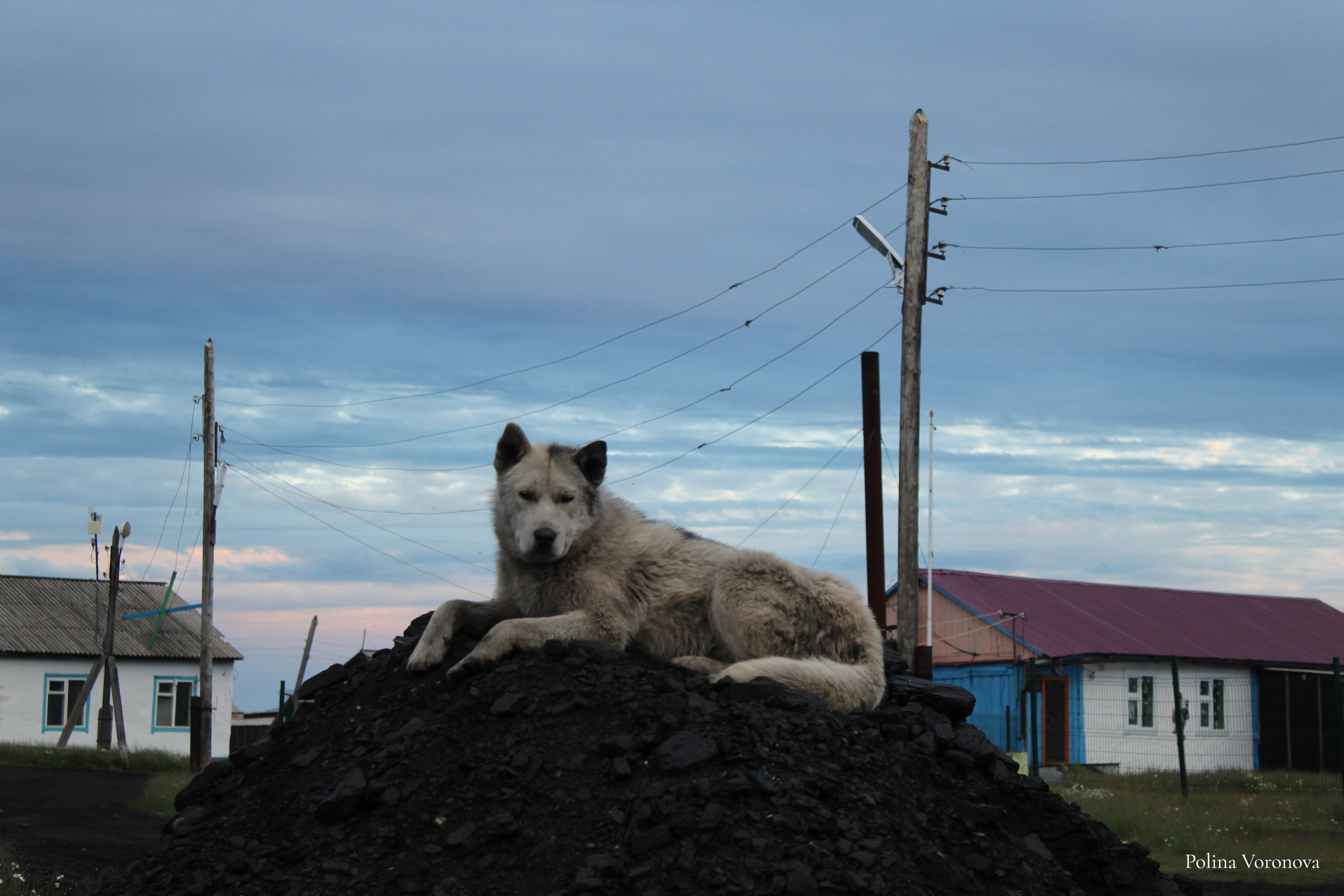 Хатанга и Русское Географическое общество 2024. Хорошая экспедиция