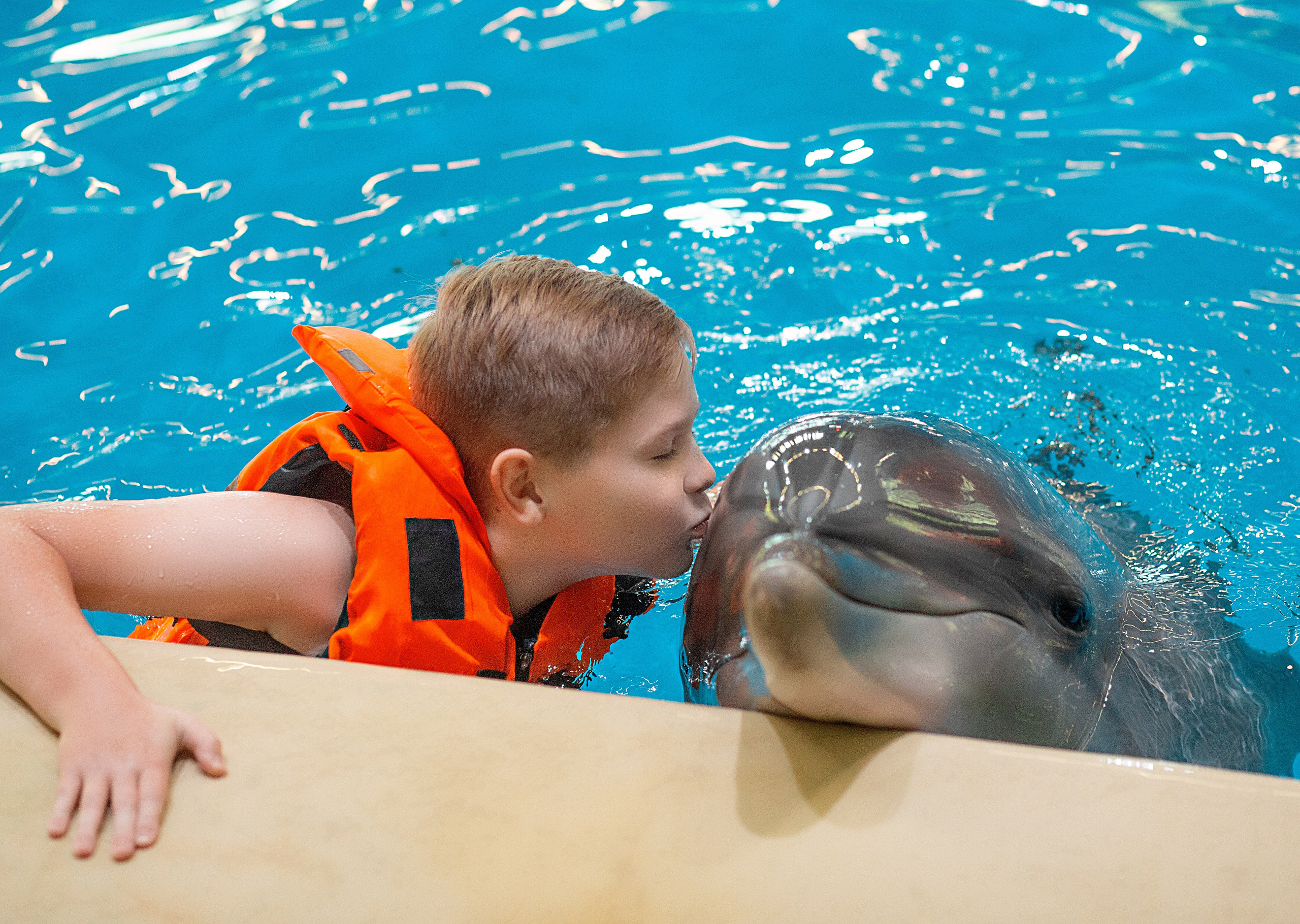 Дима и дельфины. Фотосессия с лошадьми в Нижнем Новгороде