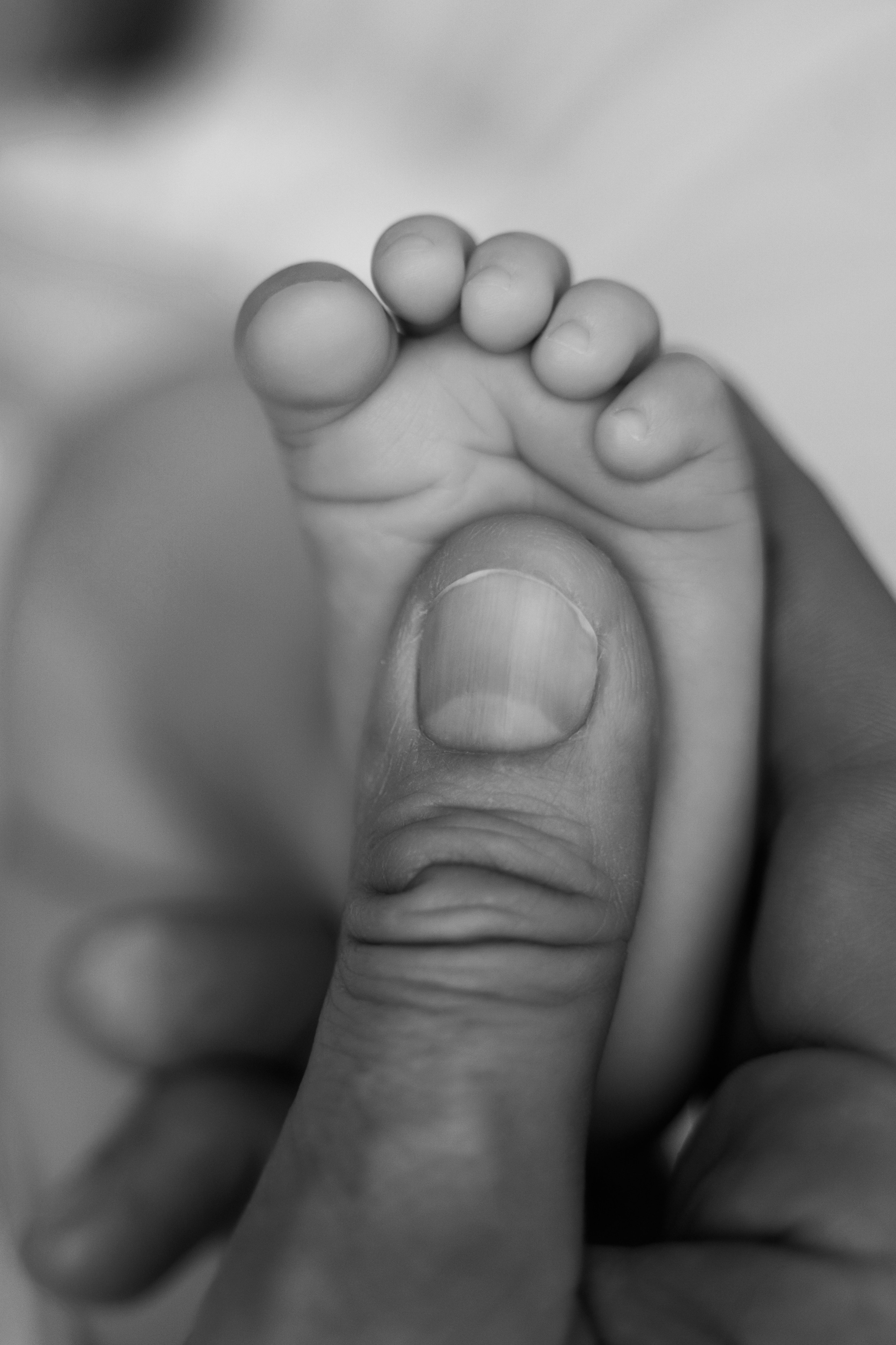 Пакет № 3 Премиум. Фотограф Москва Подольск МО