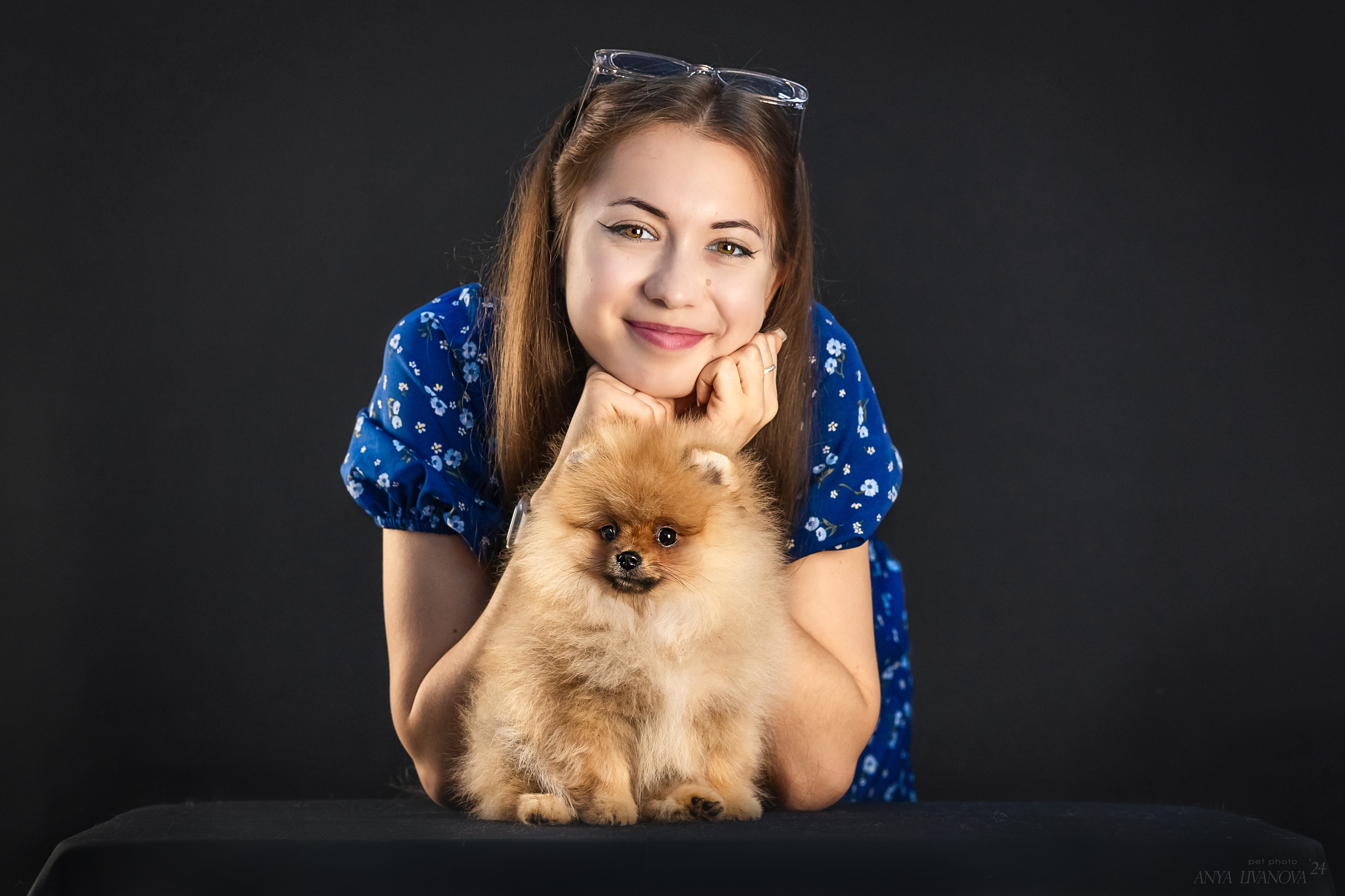 Шпицы. Фотограф анималист Аня Ливанова | Рыбинск