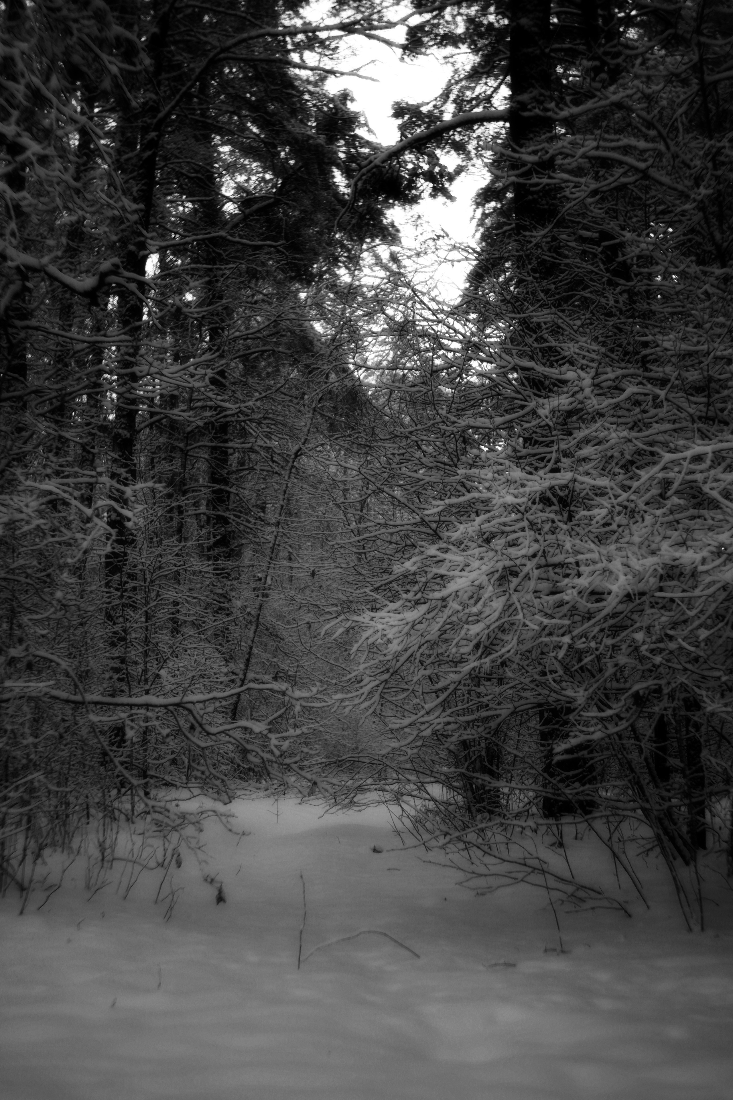 ЧБ  пейзажи (BnW landscape). Фотограф (photographer) Lischinski Vitaliy