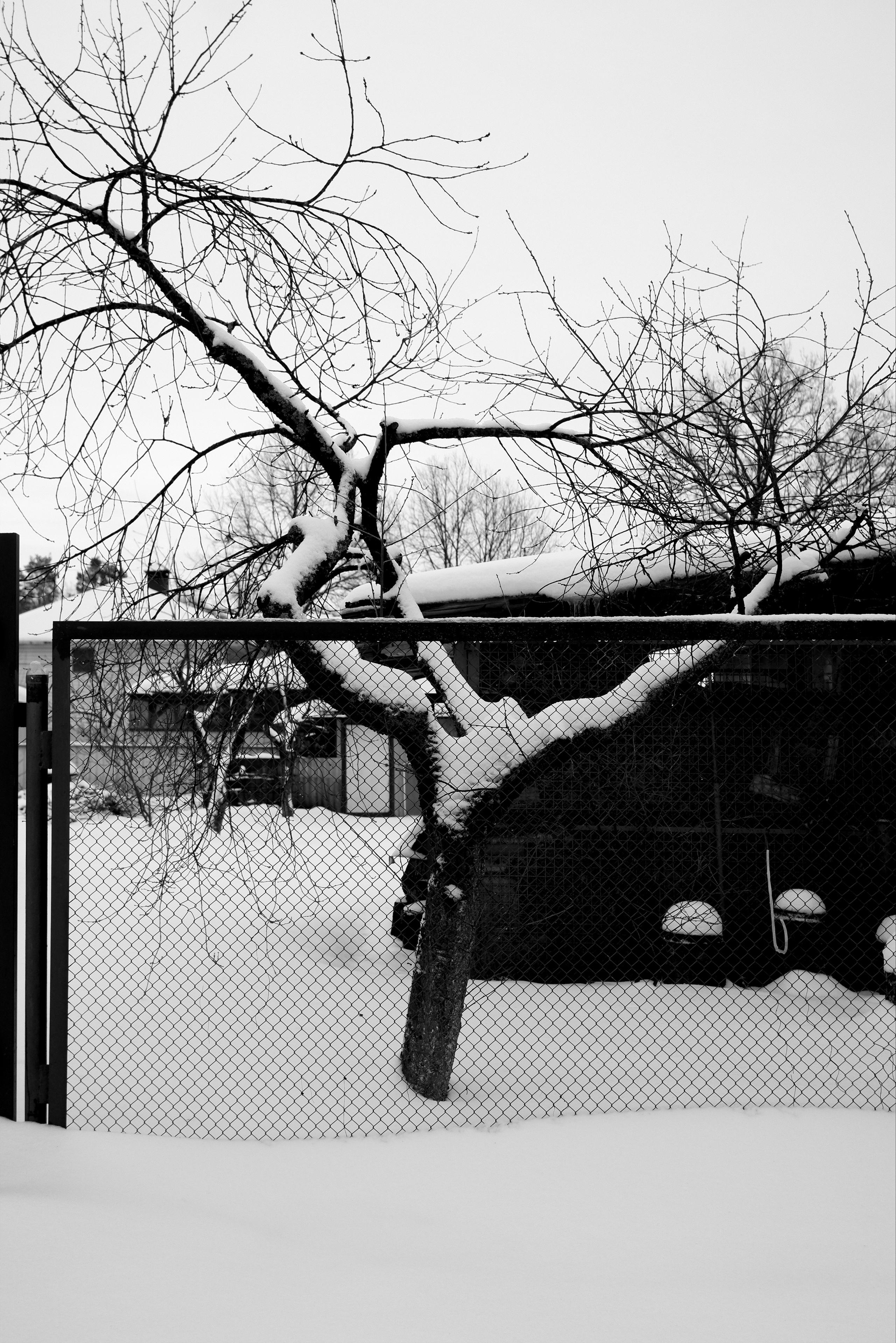 ЧБ  пейзажи (BnW landscape). Фотограф (photographer) Lischinski Vitaliy