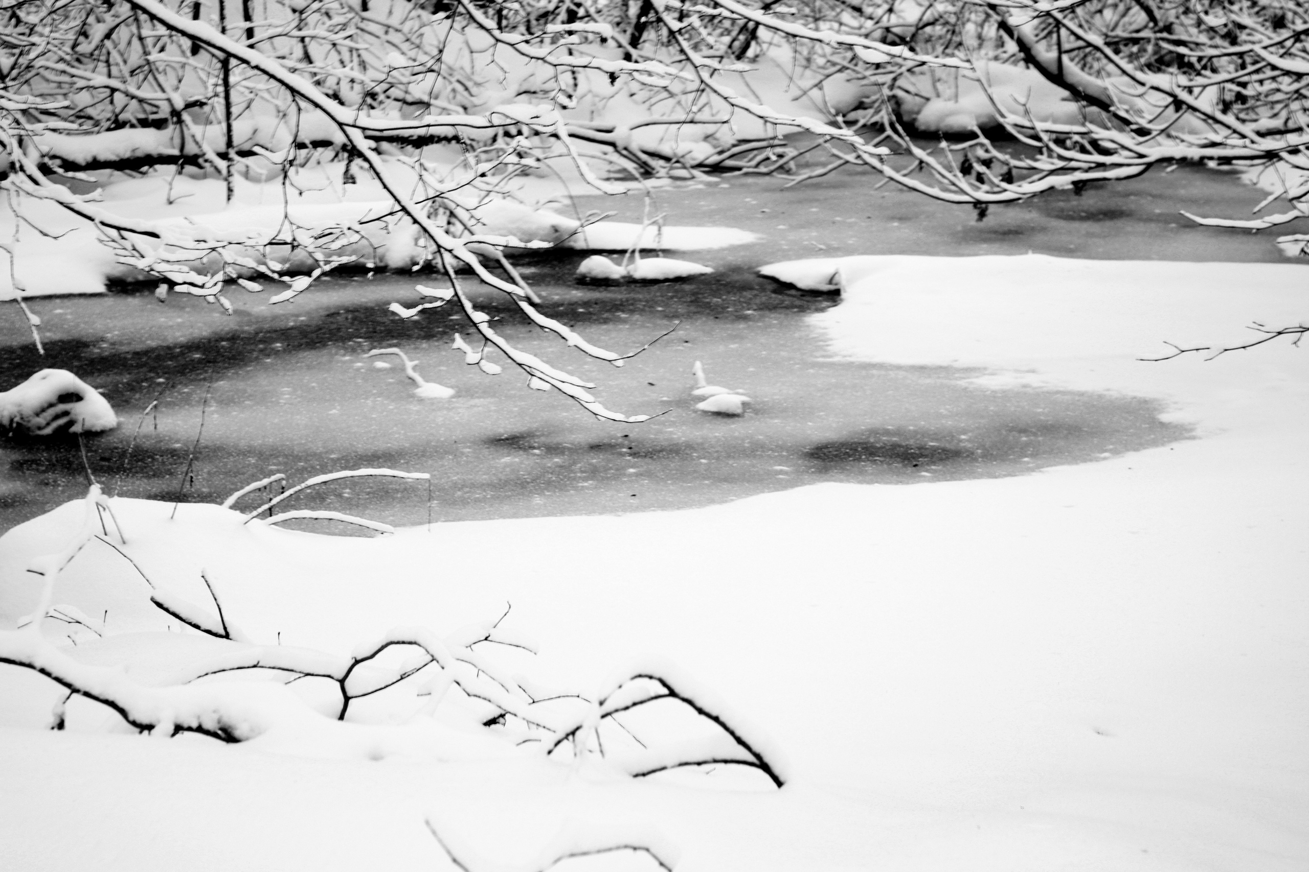 ЧБ  пейзажи (BnW landscape). Фотограф (photographer) Lischinski Vitaliy