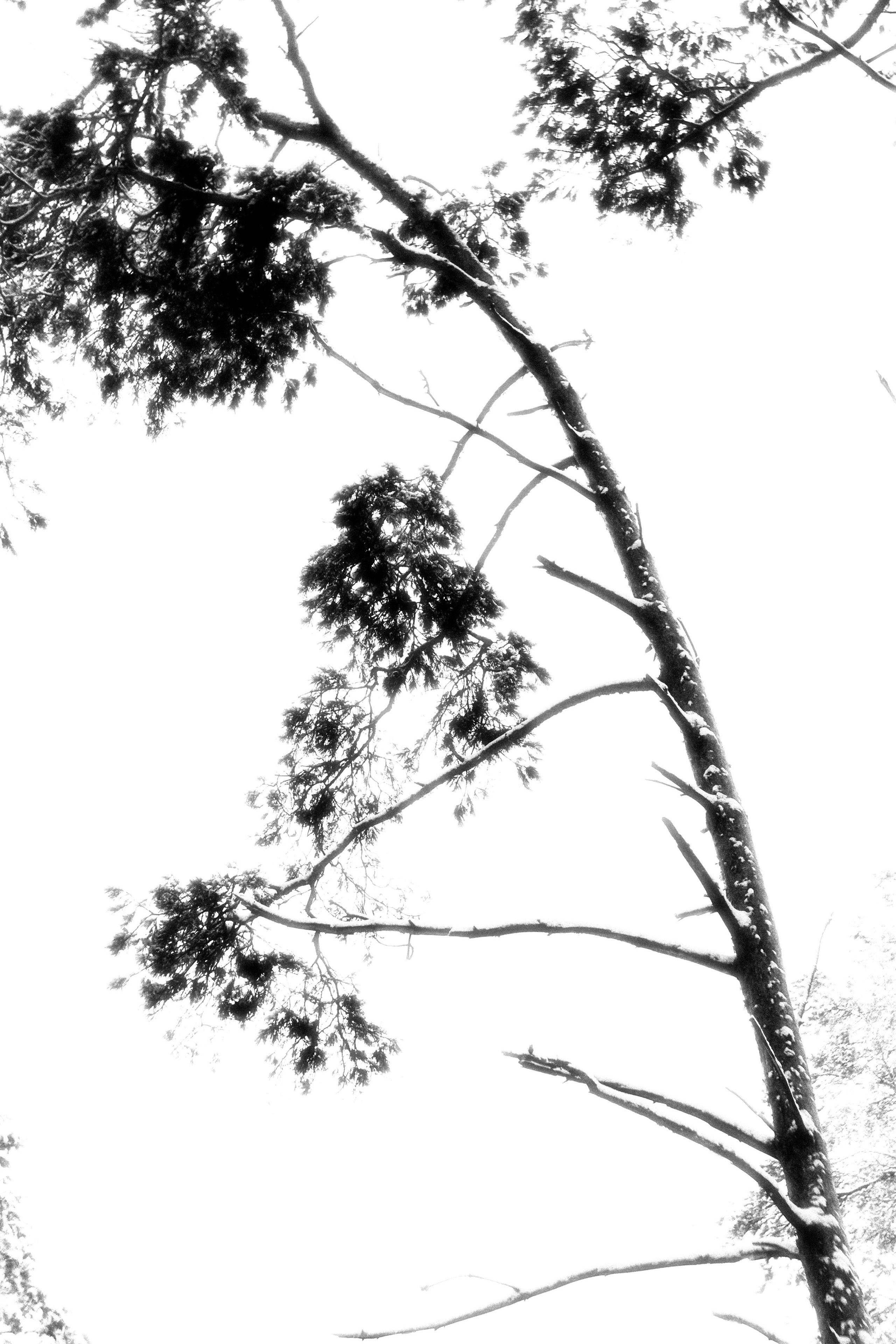 ЧБ  пейзажи (BnW landscape). Фотограф (photographer) Lischinski Vitaliy