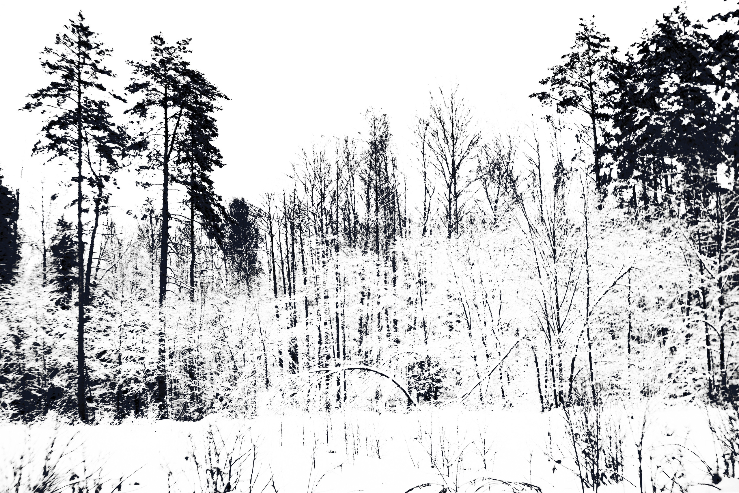 ЧБ  пейзажи (BnW landscape). Фотограф (photographer) Lischinski Vitaliy