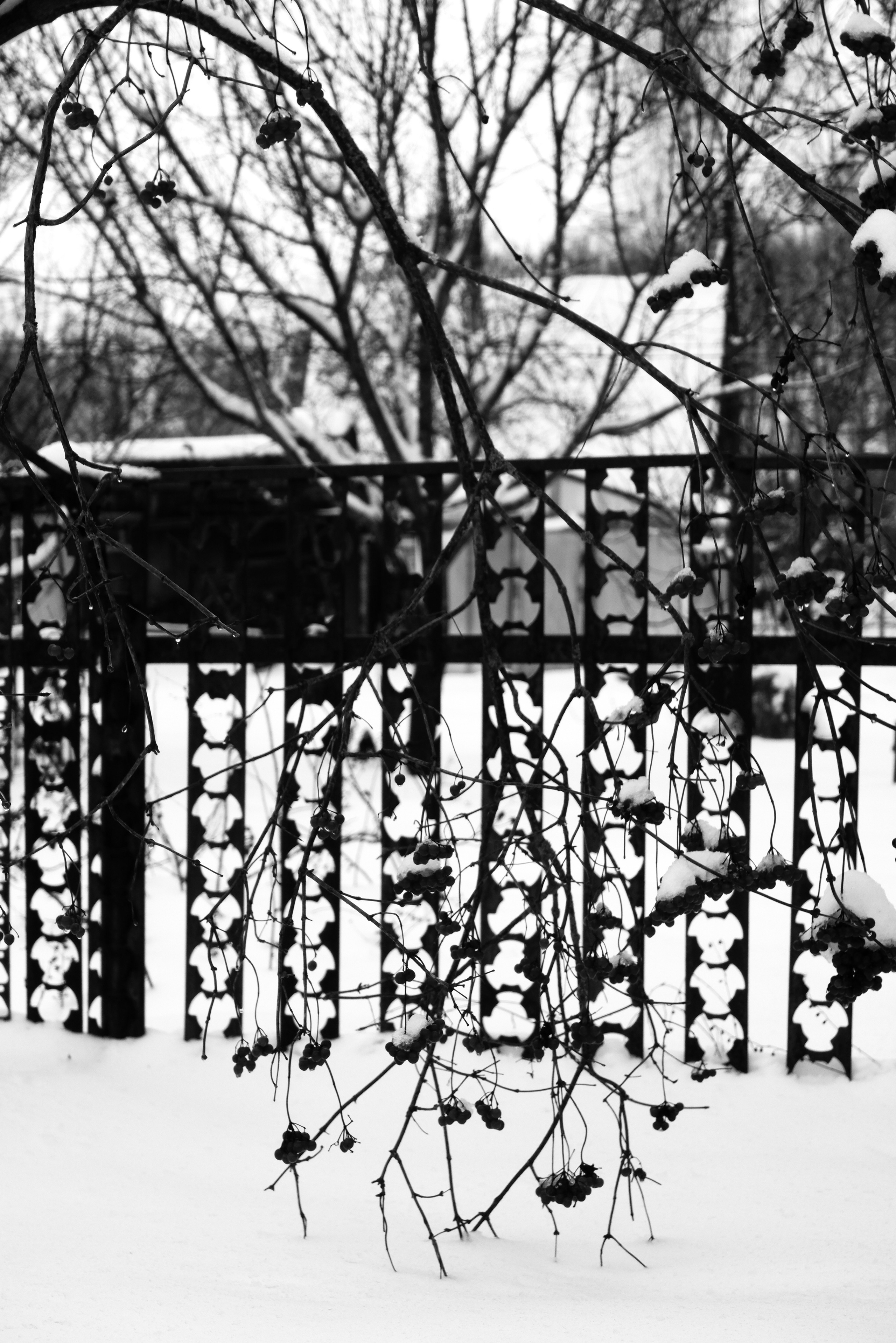 ЧБ  пейзажи (BnW landscape). Фотограф (photographer) Lischinski Vitaliy