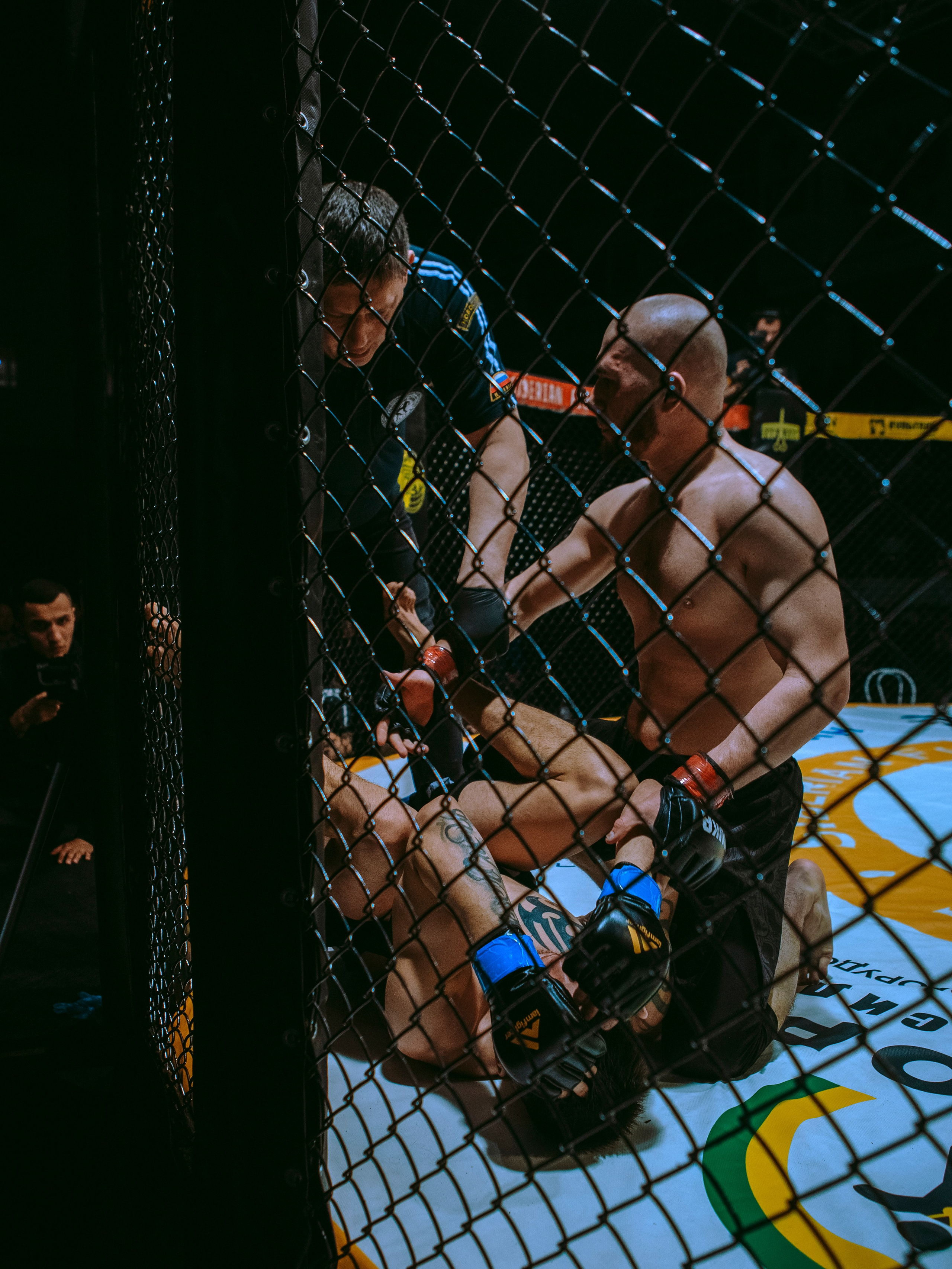 SFL 17 | Siberian Fighting League. Портретный фотограф в Москве Дарья Цезария