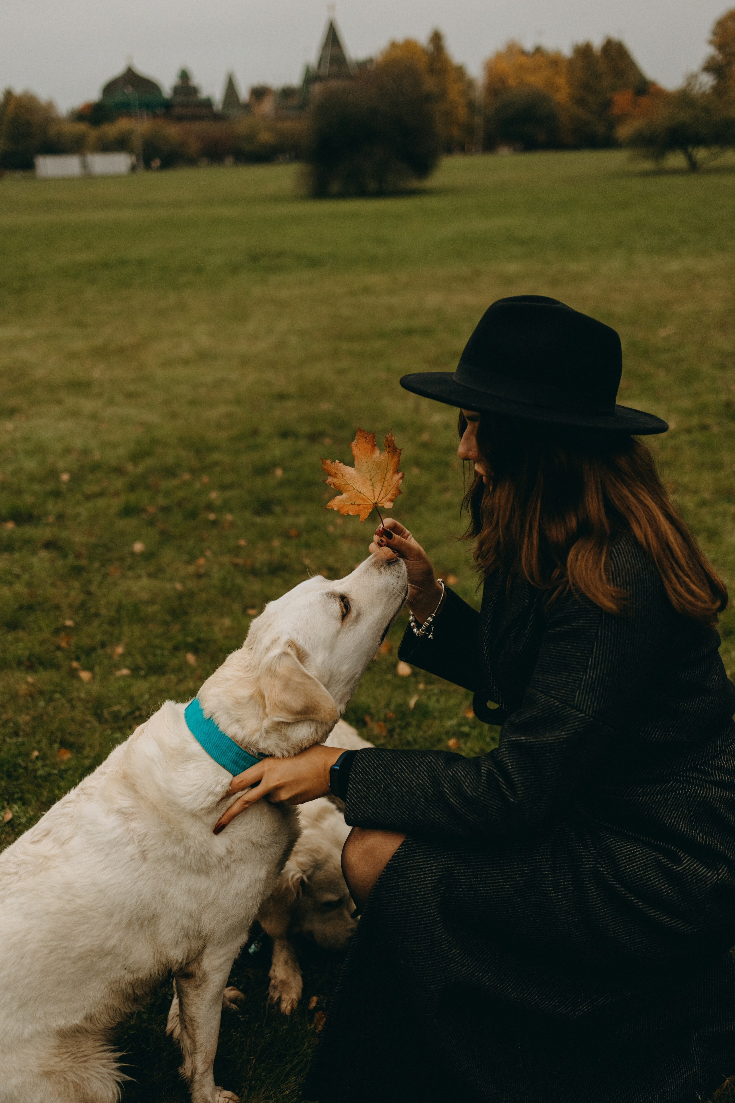 Женя и ее девочки. Фотограф — Анималист | Санкт-Петербург