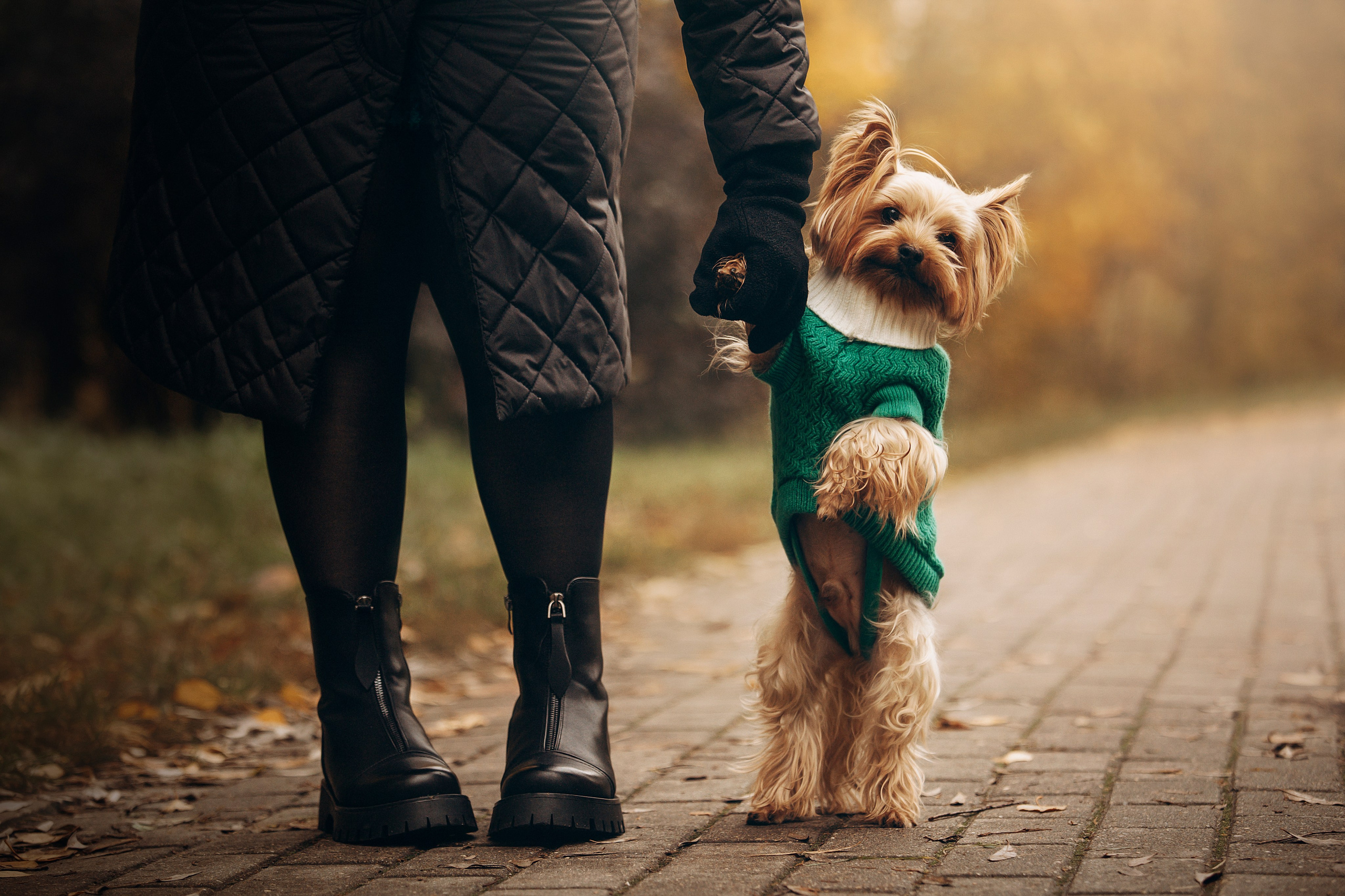 Настя и Тёма. Фотограф — Анималист | Санкт-Петербург