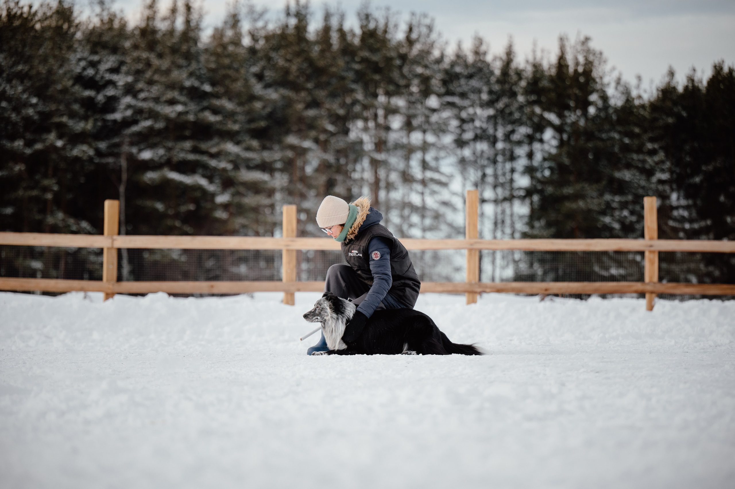 Пастьба. Семейный фотограф анималист Ананьева Мария — Москва