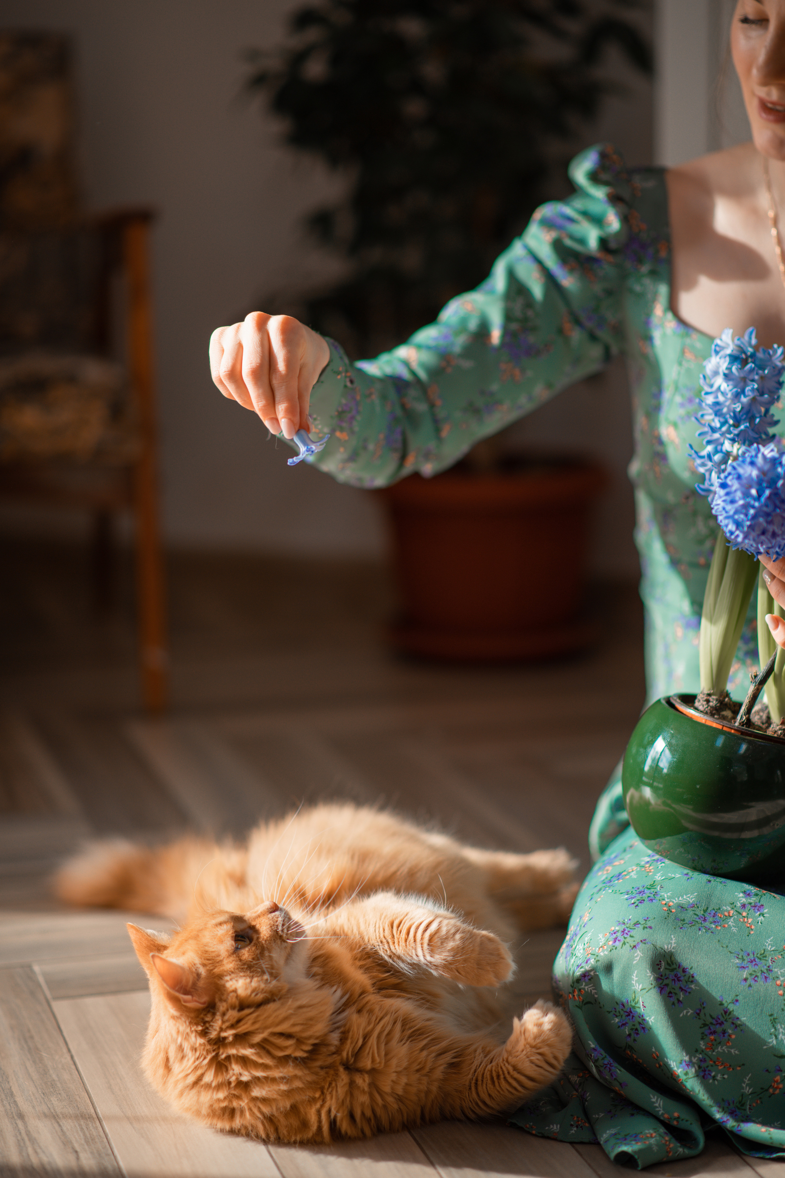 Индивидуальные фотосессии. Фотограф Алиса Чечина. Калуга. Товарково