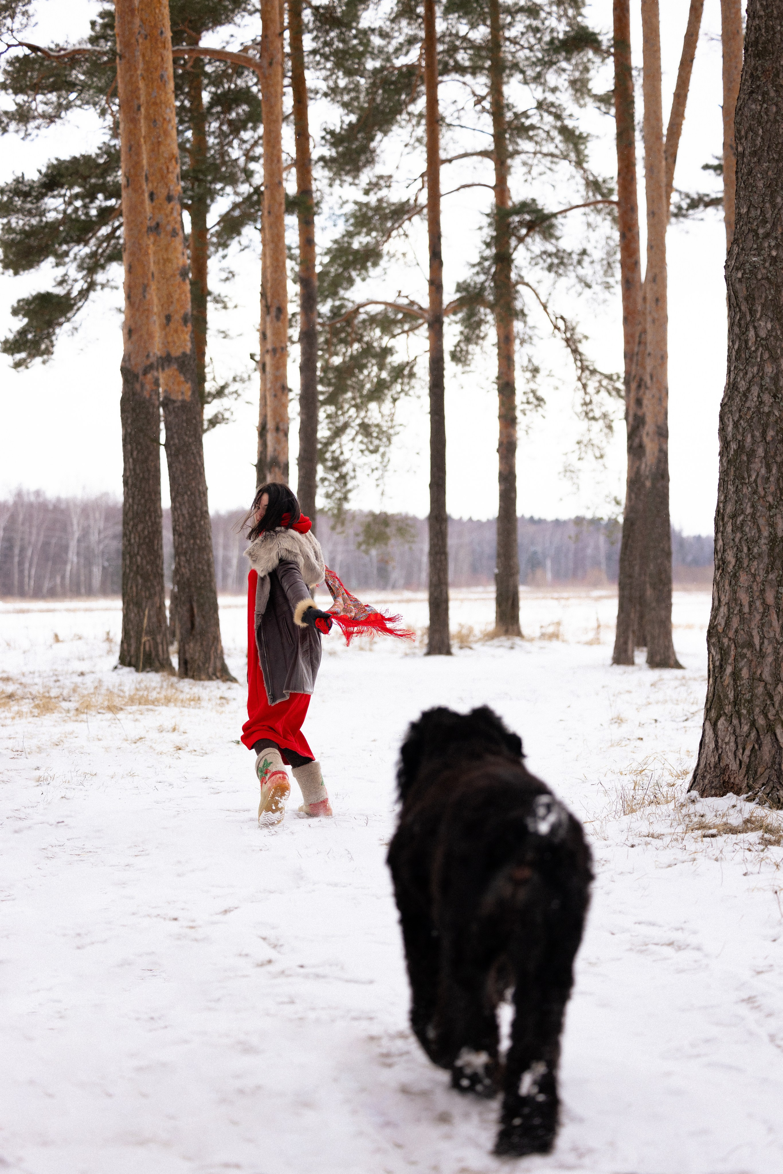 Анастасия и Ирга. Фотограф и видеограф анималист Аганина Дарья