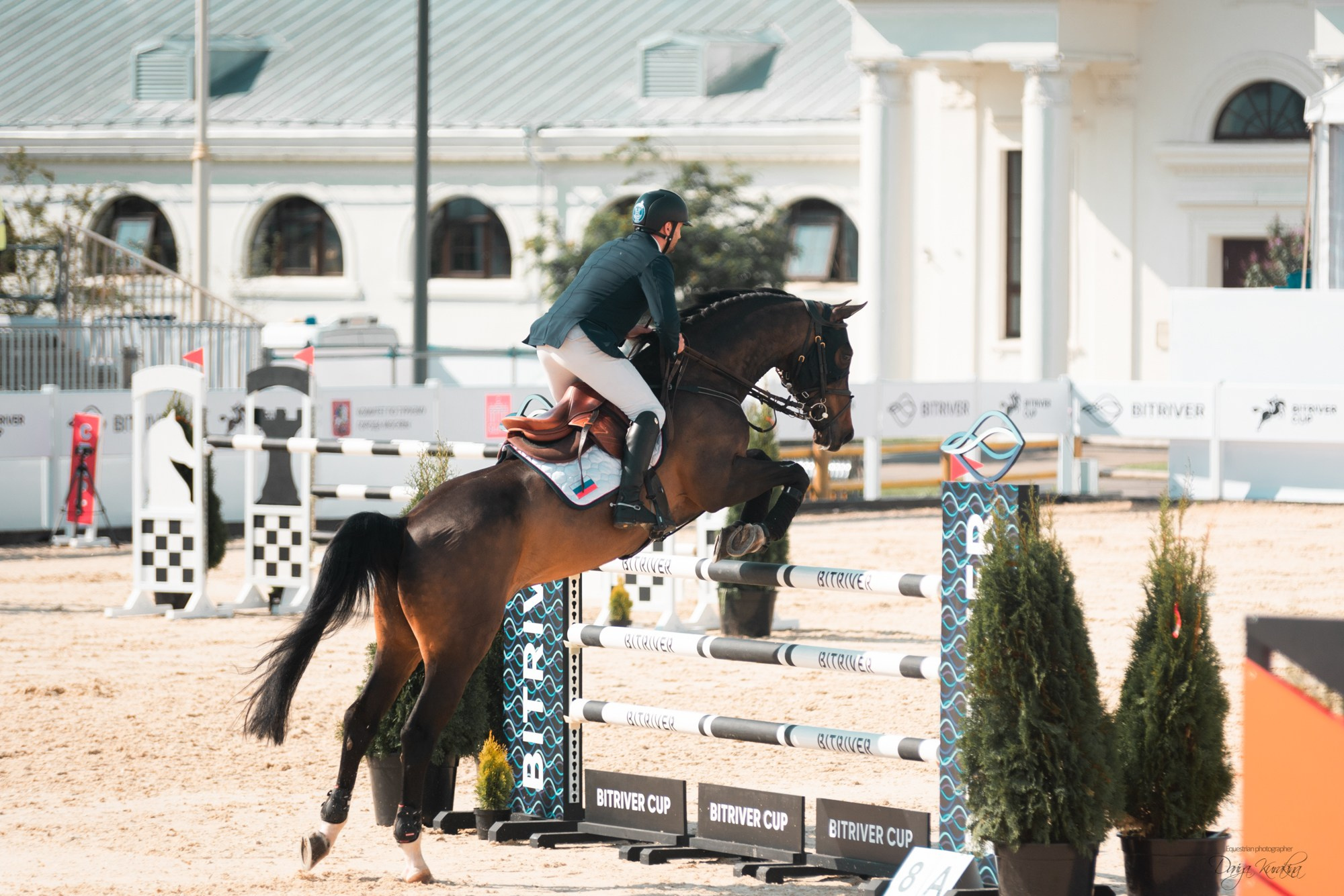BITRIVER CUP 2023. Конный фотограф Куракина Дарья • Фотосессии с лошадьми