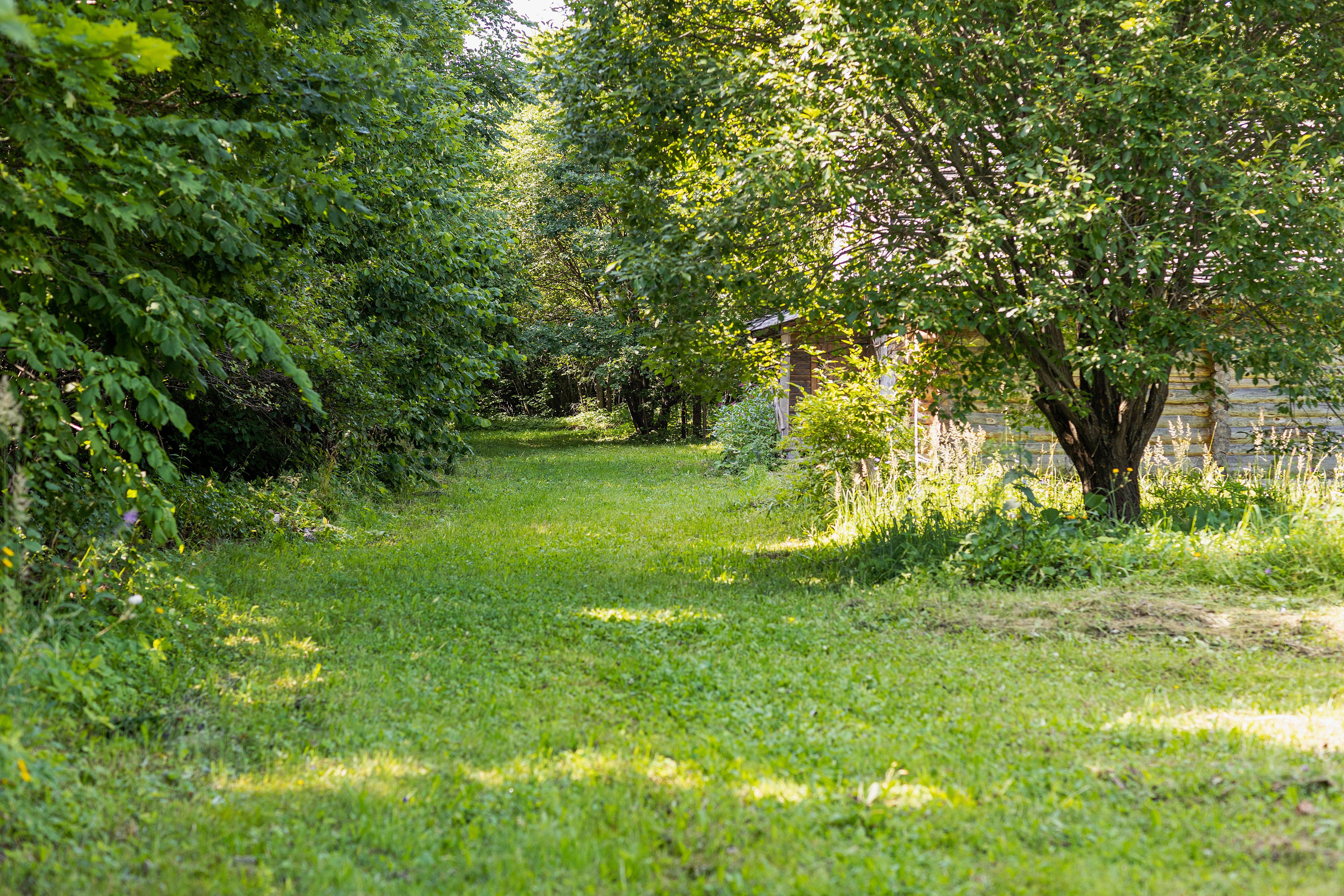 Фотосессия с Аней в этнокомплексе Ясна. Портретный и репортажный фотограф в Чебоксарах Андриян Чаркин