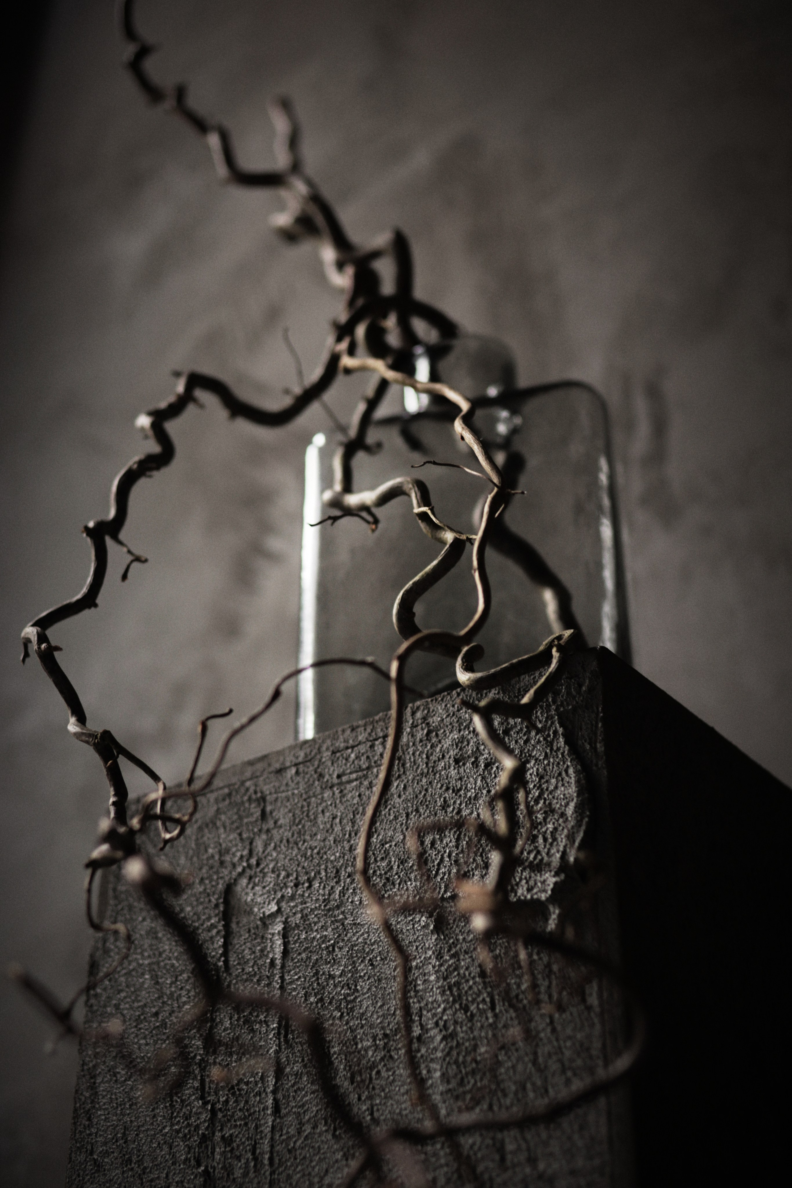 Flowers. Виктория Калугина — фотограф и видеомейкер в Москве