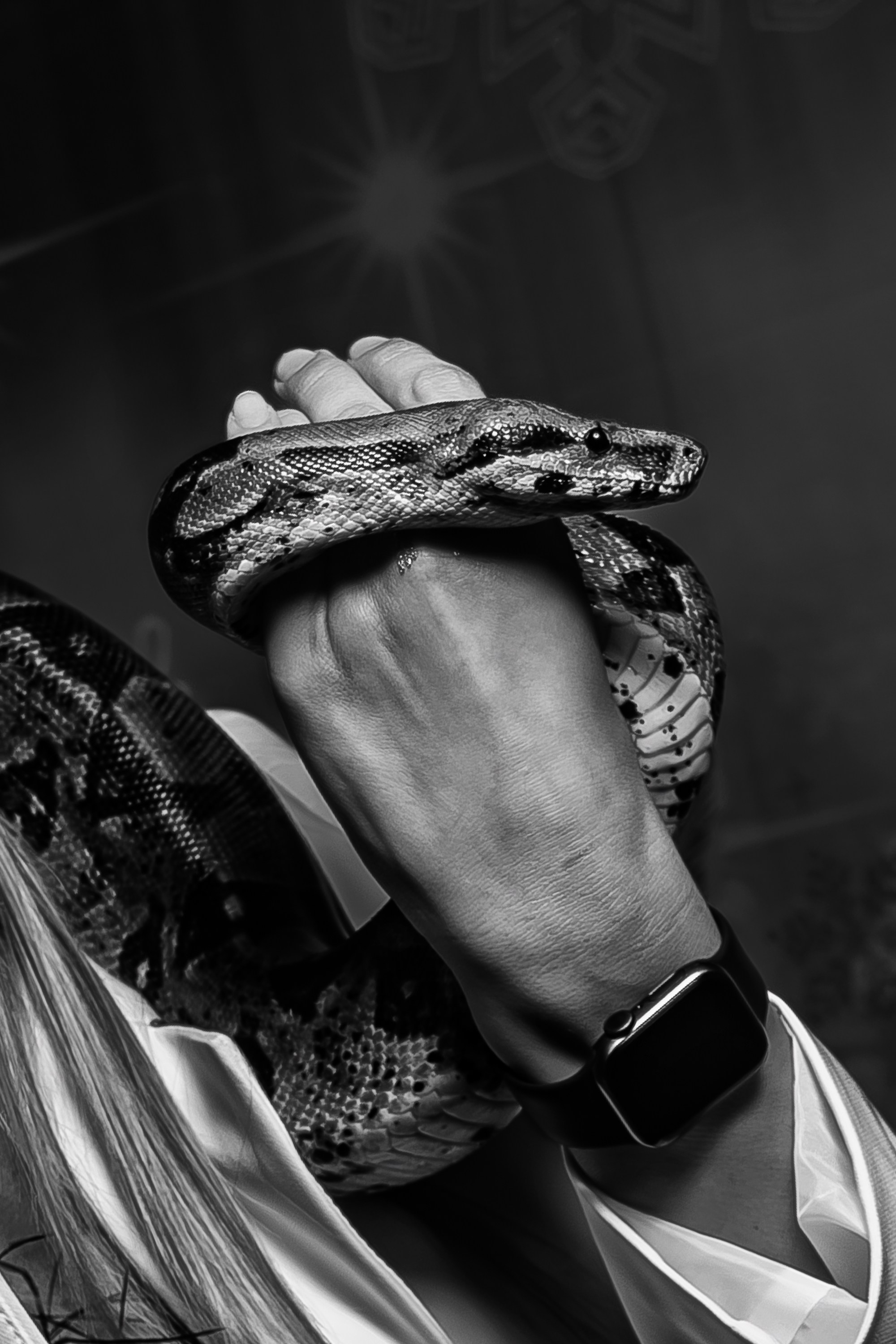 Новый годный АнтиКвиз_Palmira Palace_Ялта_15.12.2024. Аминов Руслан | Фотограф