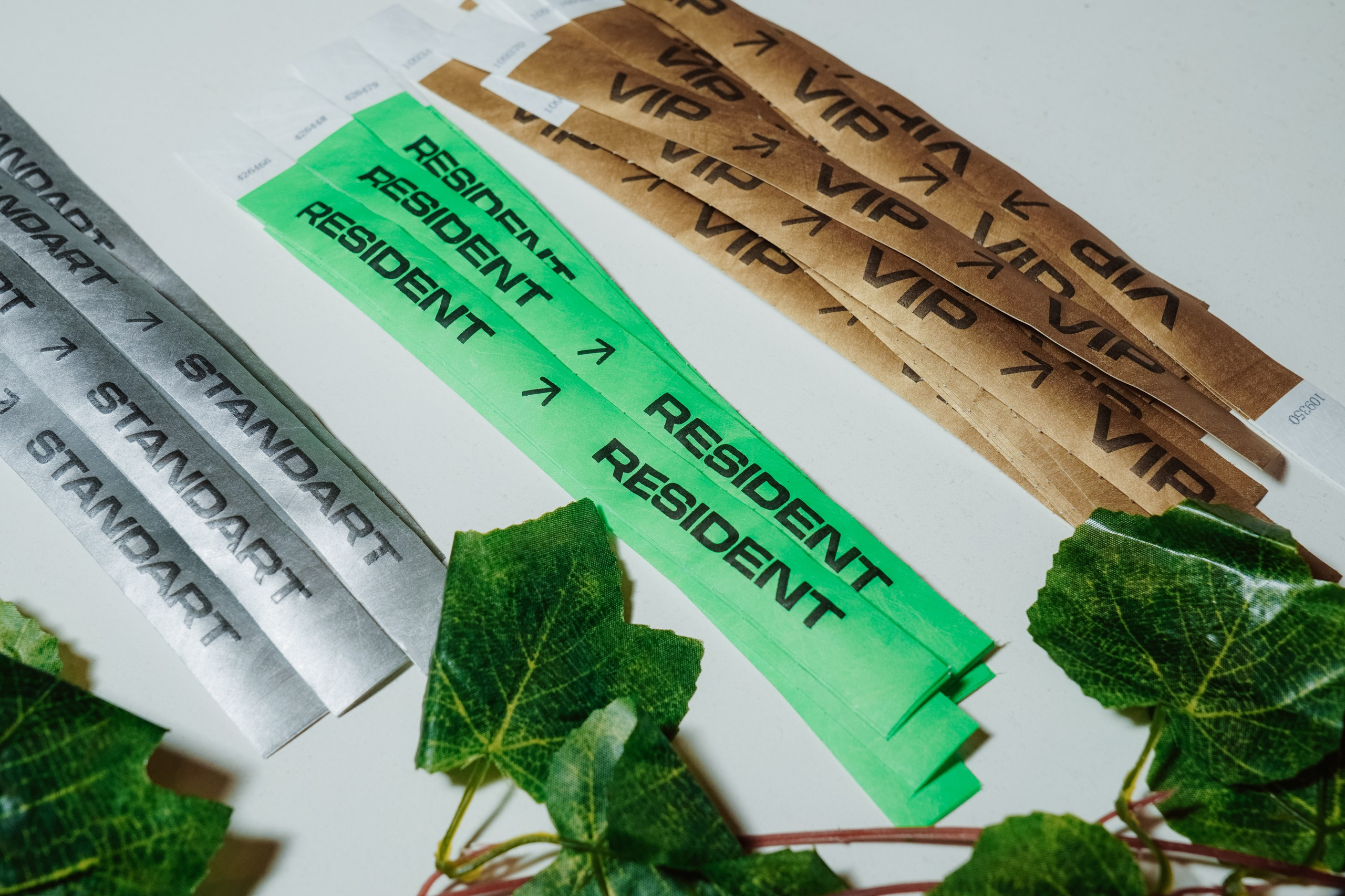 СЛЁТ ЛОГИСТОВ. Фото | Видео Контент Мишель Ватаманюк