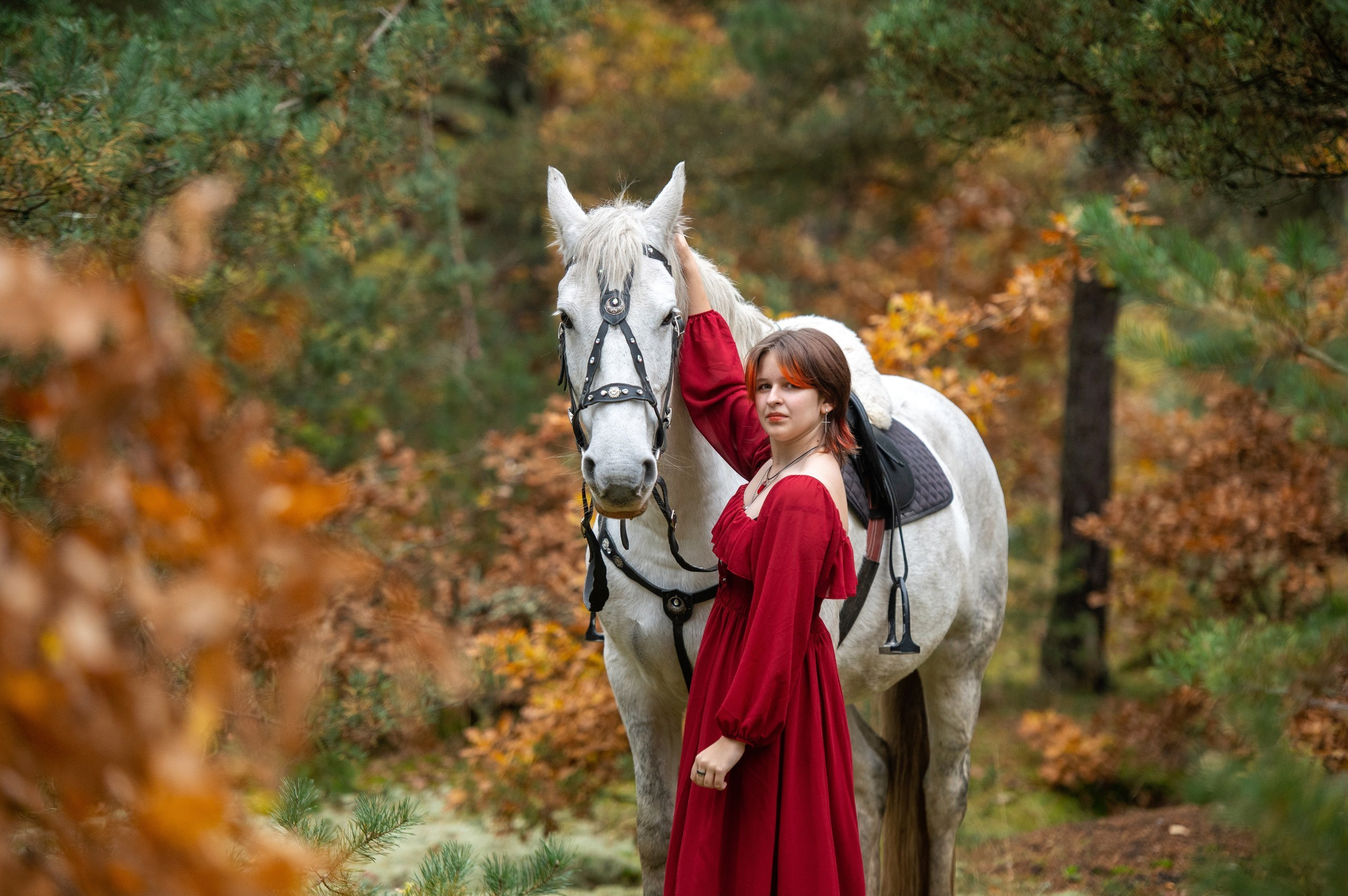 Индивидуальные. Фотограф с лошадьми в Калининграде Татьяна Ларина