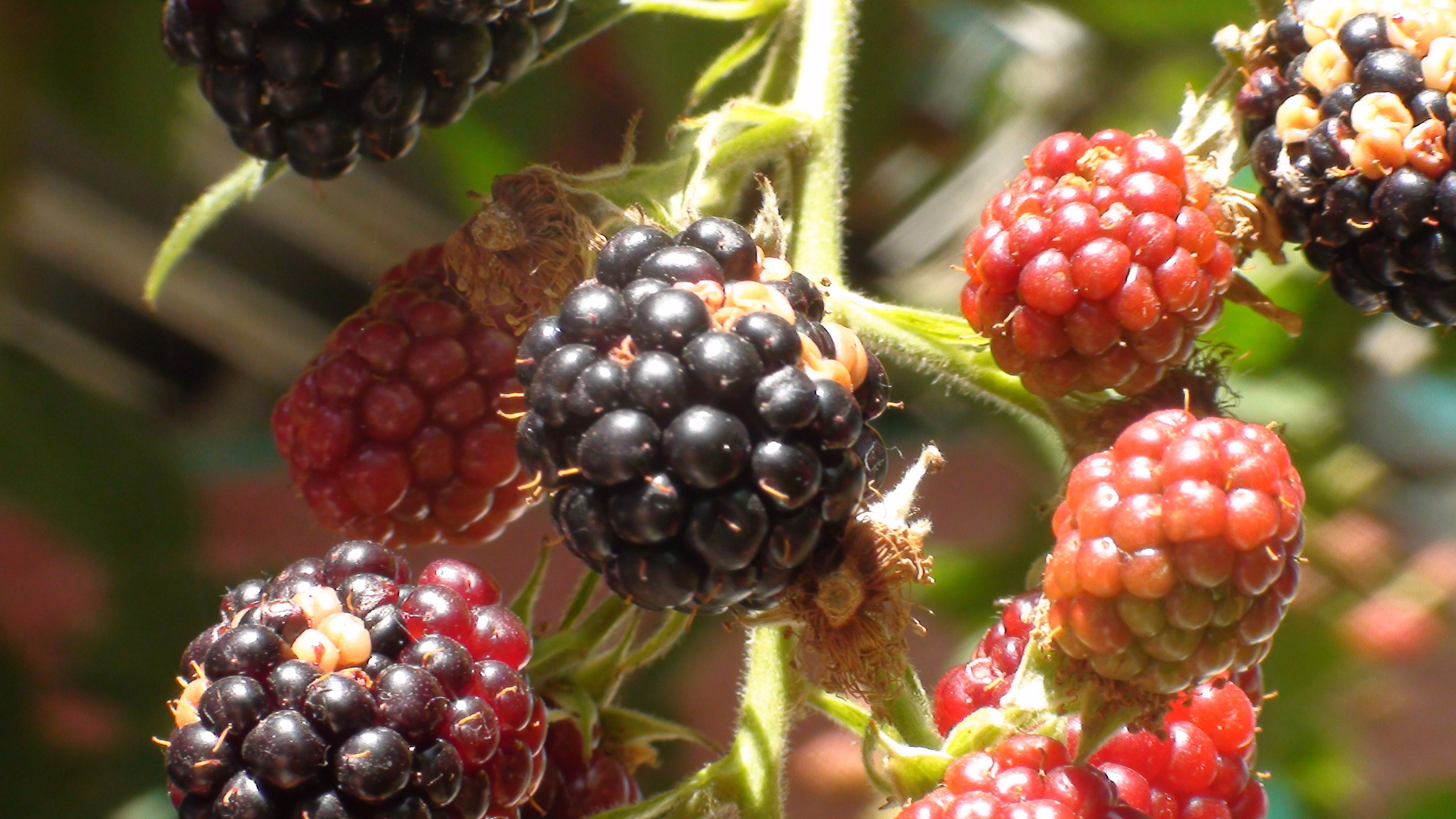 Отпуск 20.07-17.08. Семейный, Свадебный фотограф СПБ Питер— Романова Екатерина