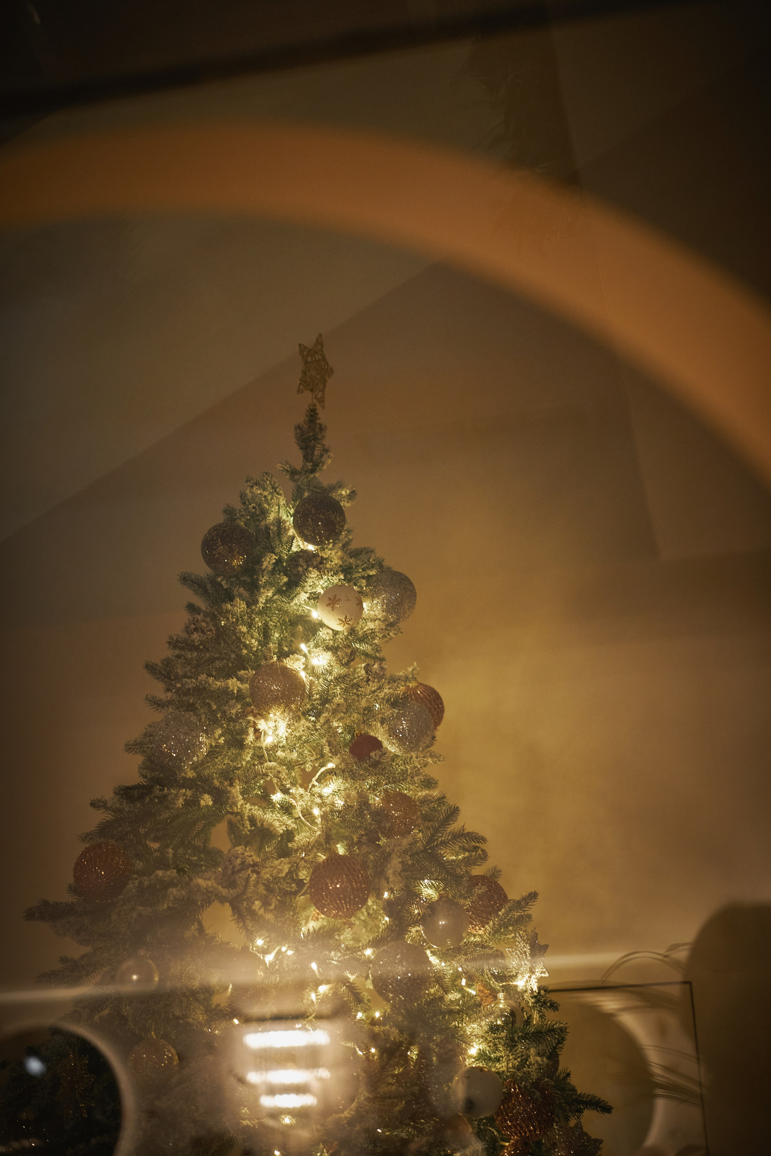 Аня и Дима. Фотограф в Санкт-Петербурге | Аня Маленчук